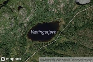Vaetingstjorn