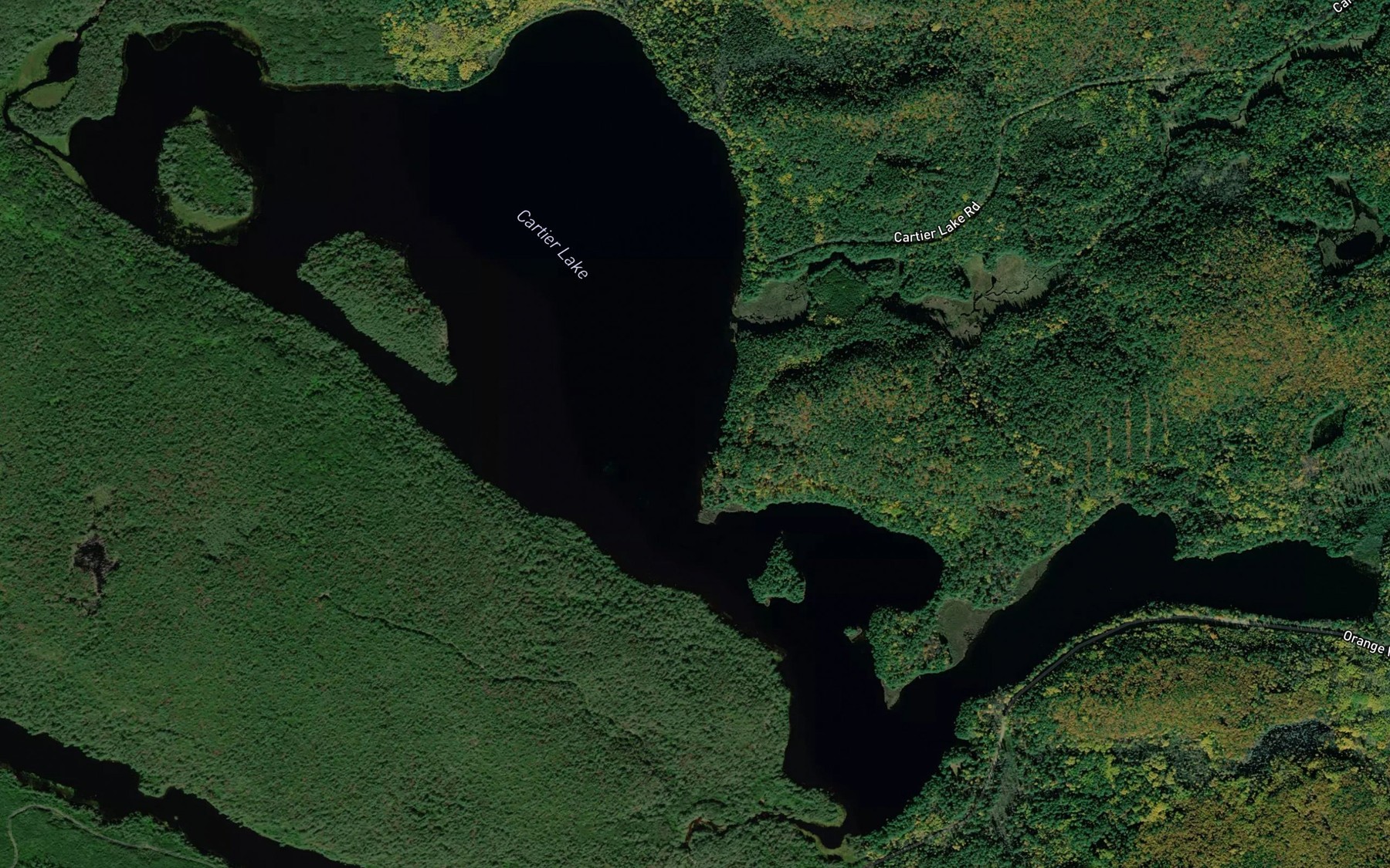 Satellite map of the Cartier Lake