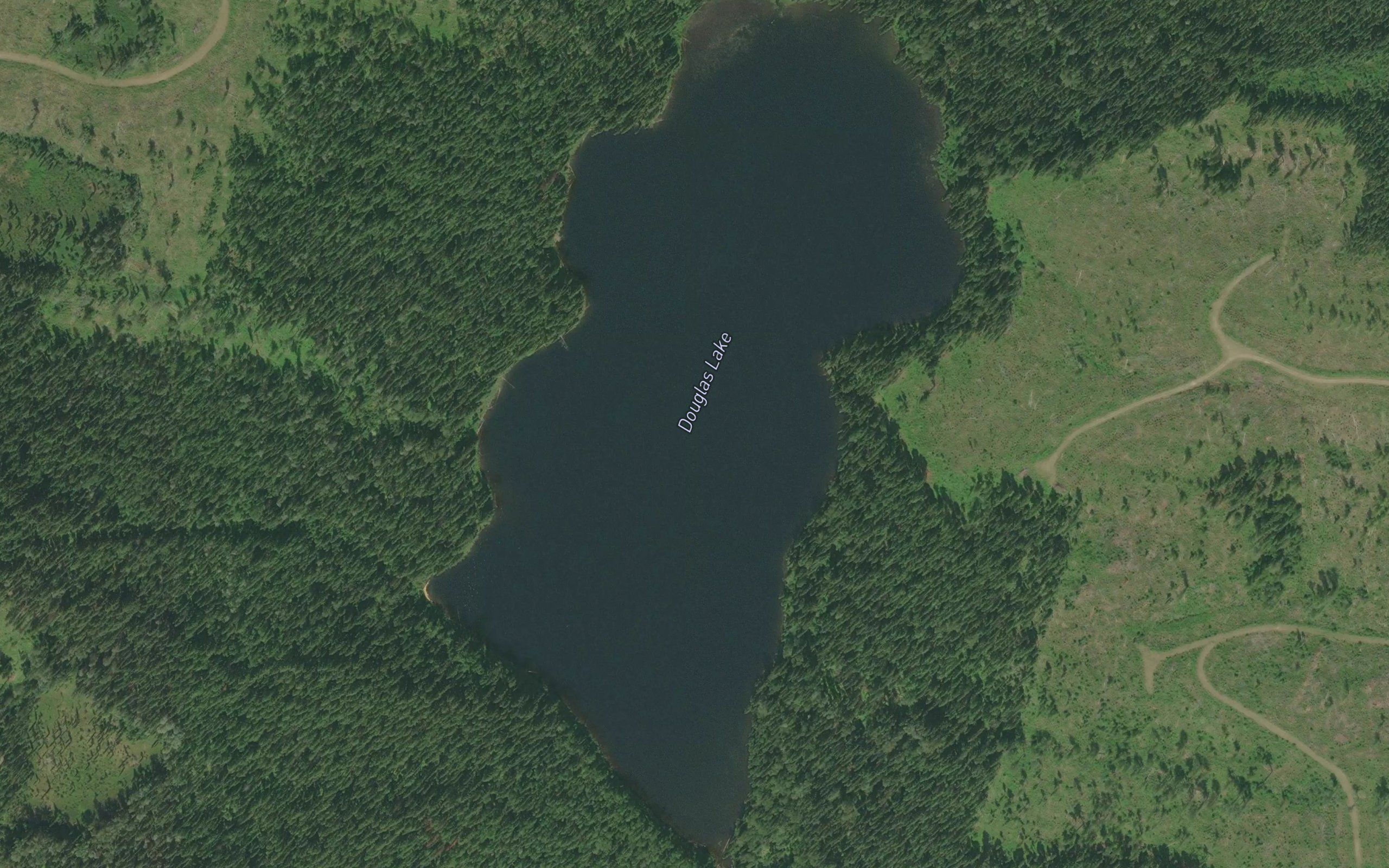 Douglas Lake