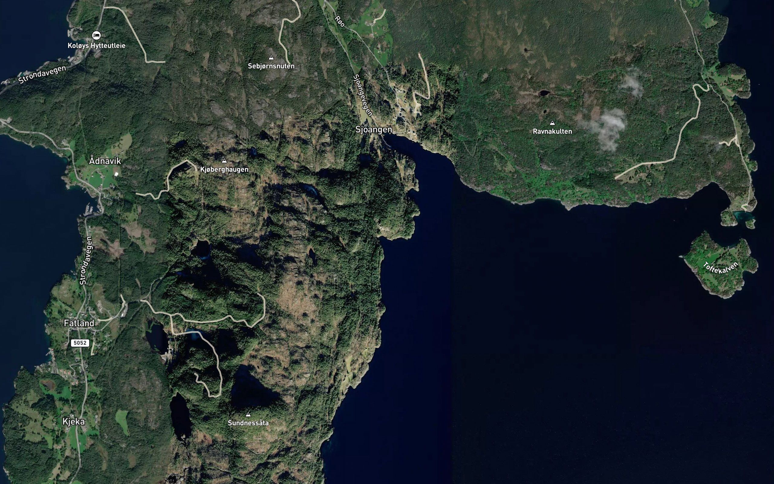 Svortevika