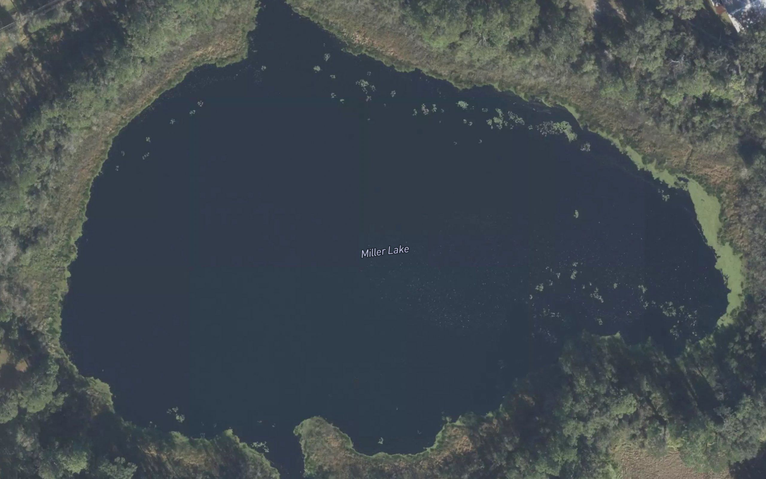 Miller Lake
