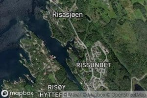 Stornesviki
