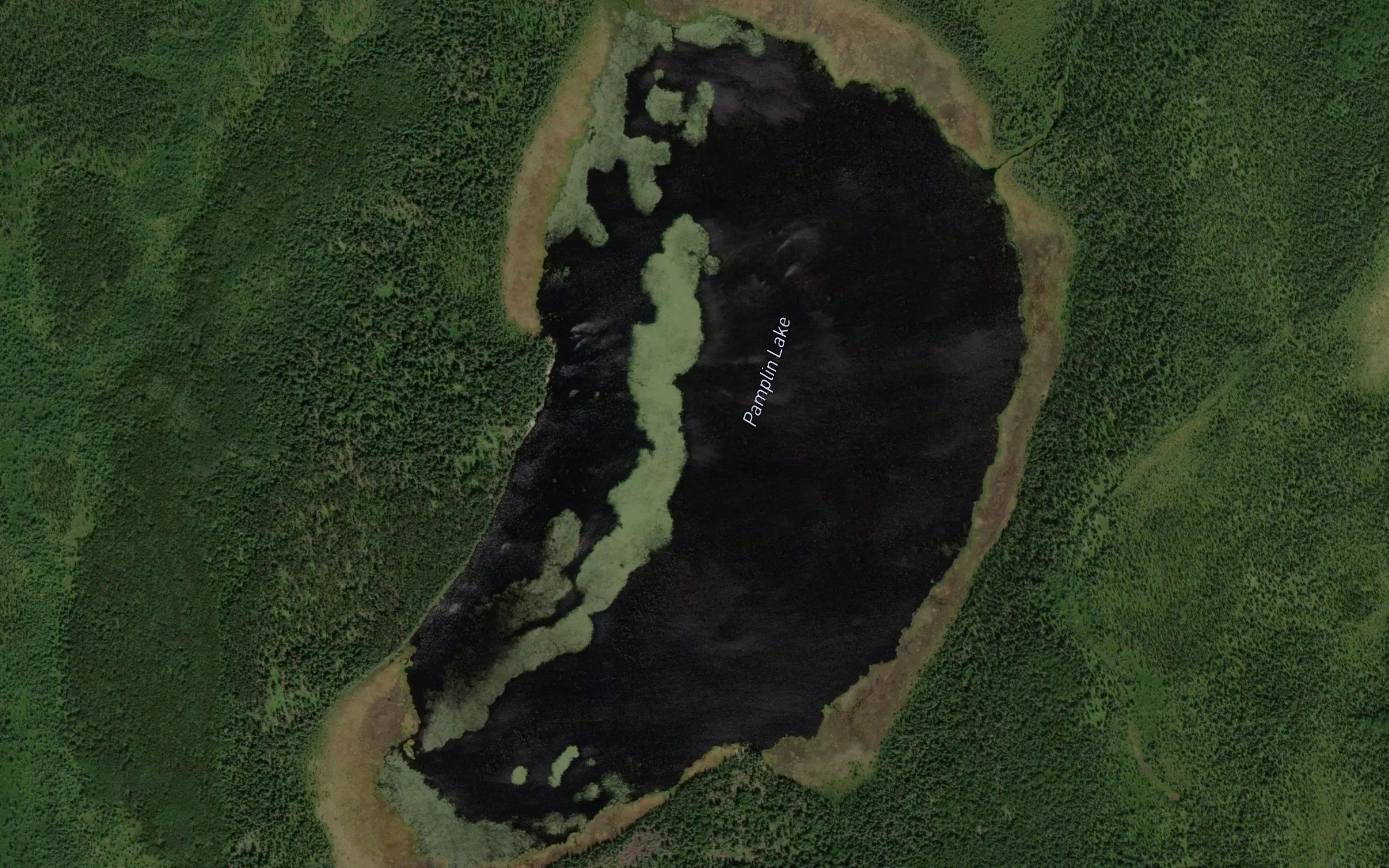 Pamplin Lake