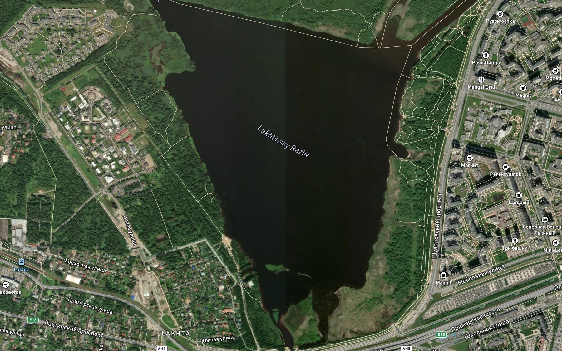 Satellite map of the Lakhtinskiy Razliv