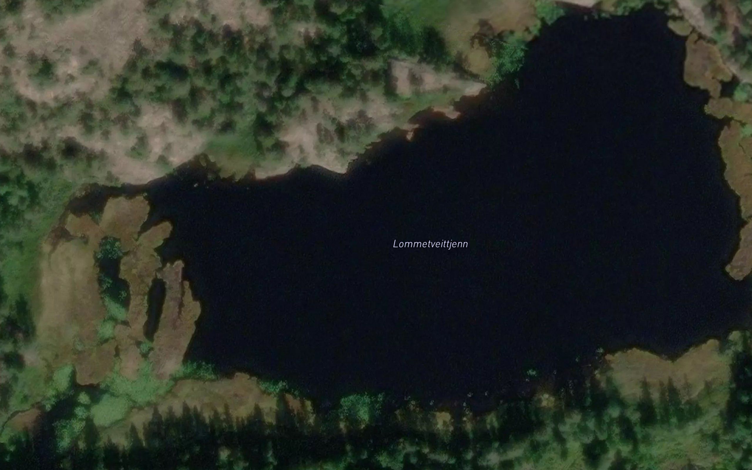 Lommetveittjenn