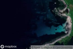 Rekvika