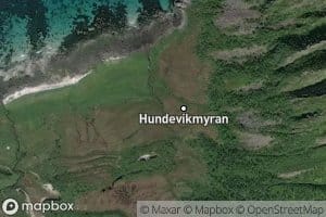 Hundevikelva
