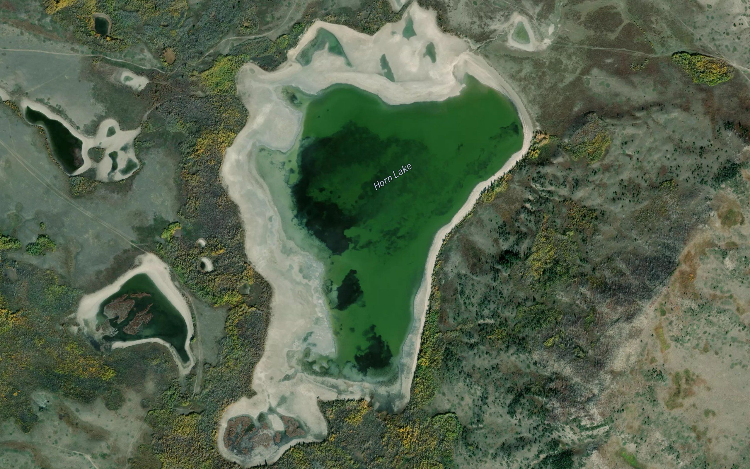 Horn Lake