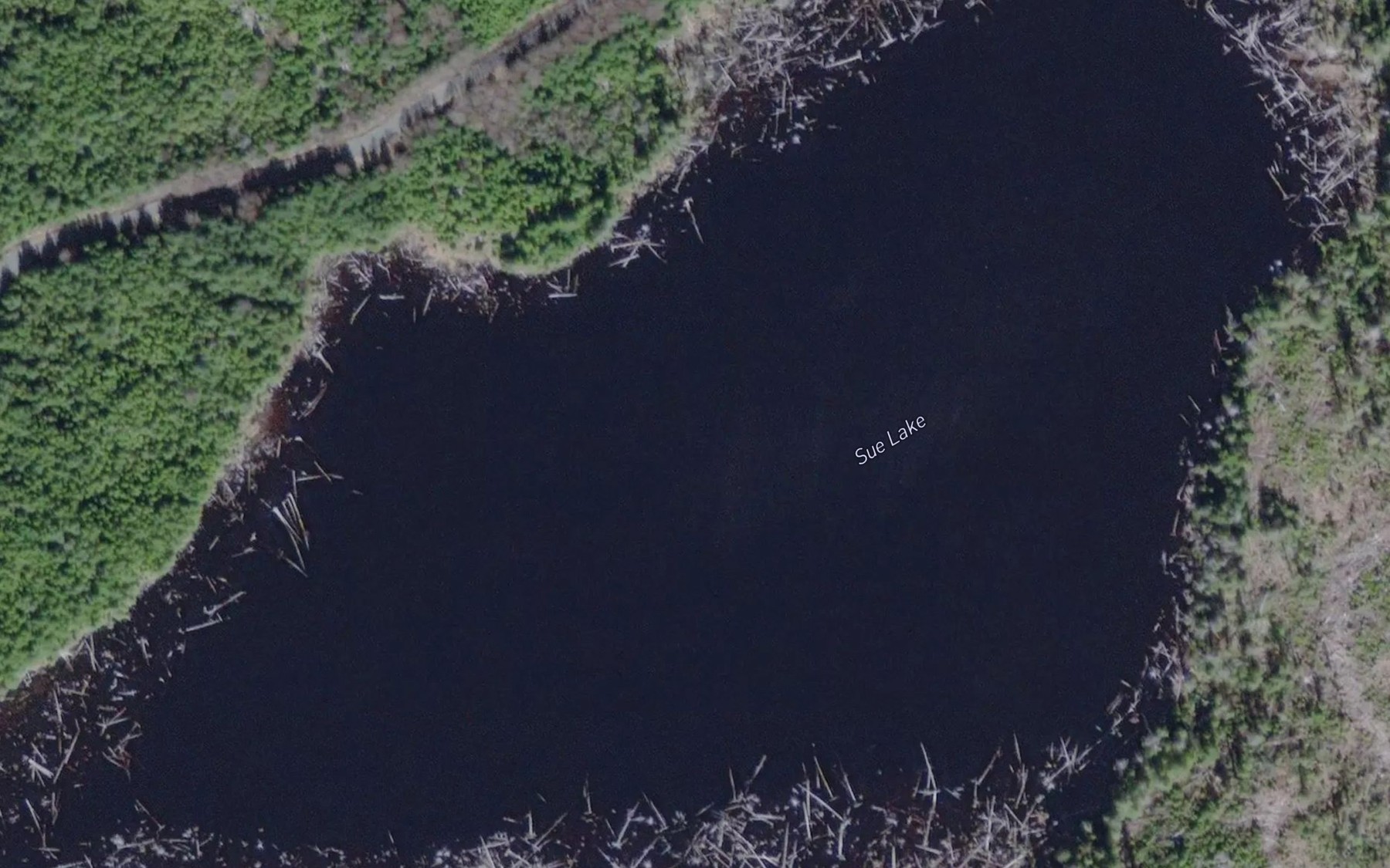 Satellite map of the Sue Lake