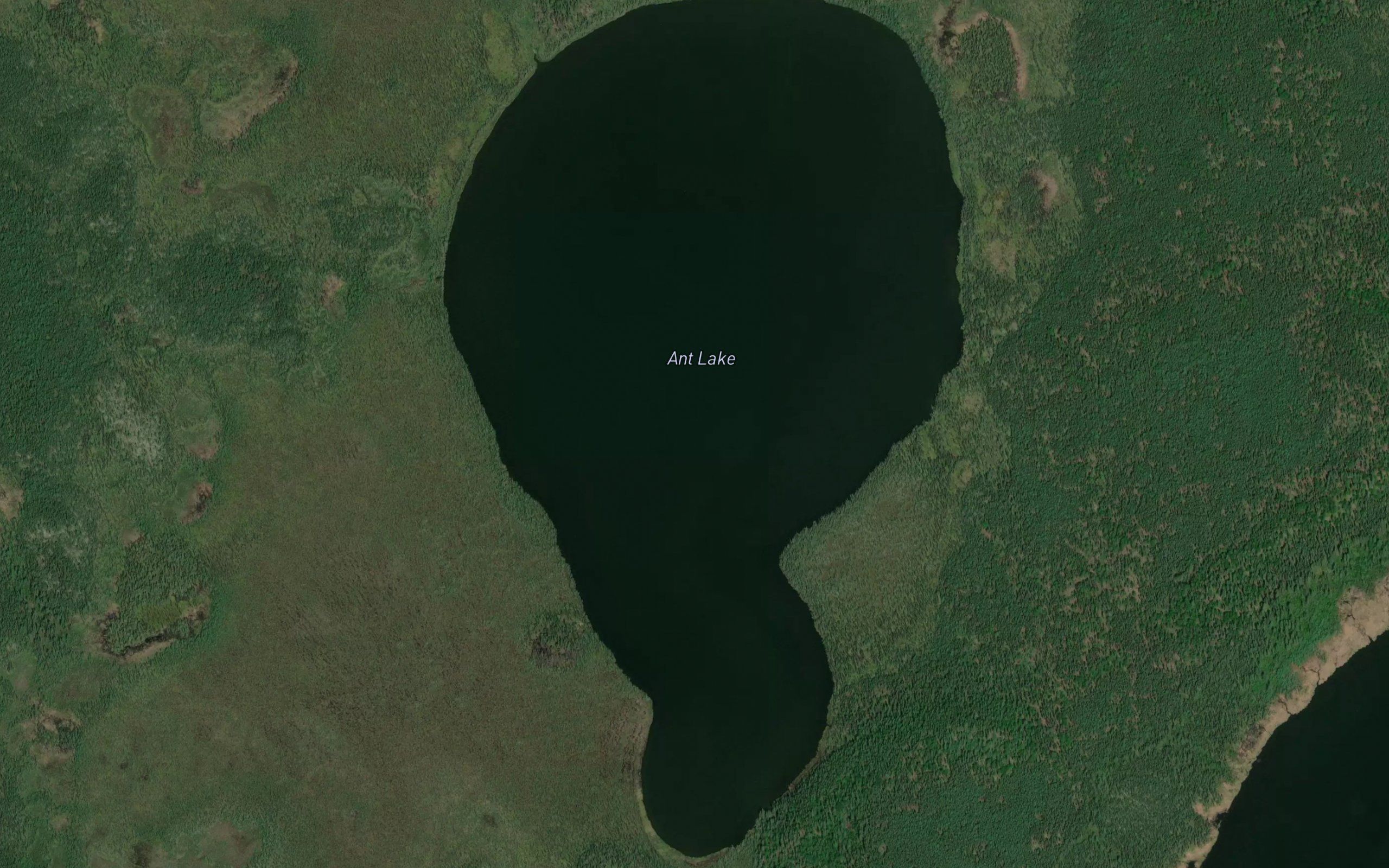 Ant Lake