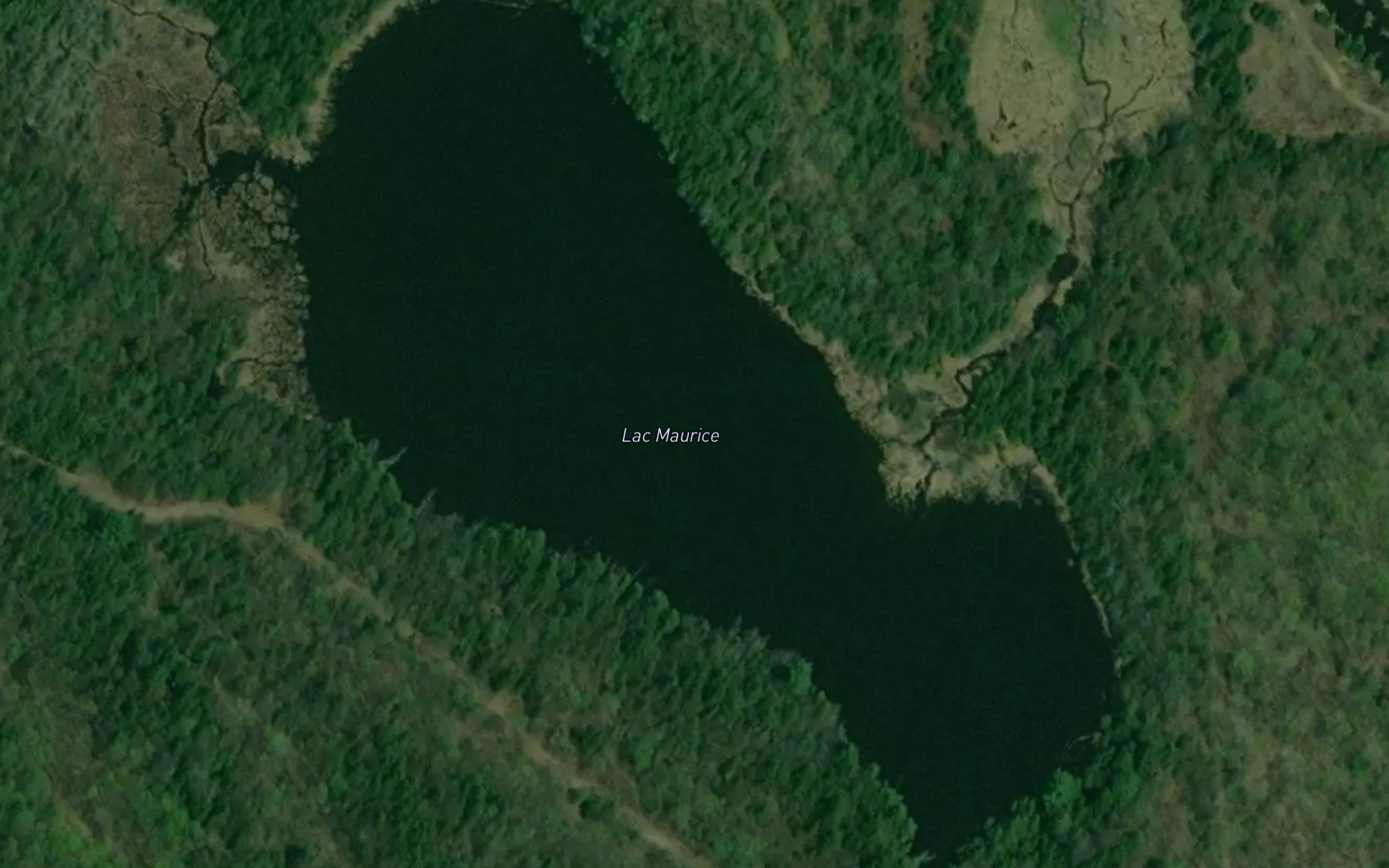 Lac Maurice