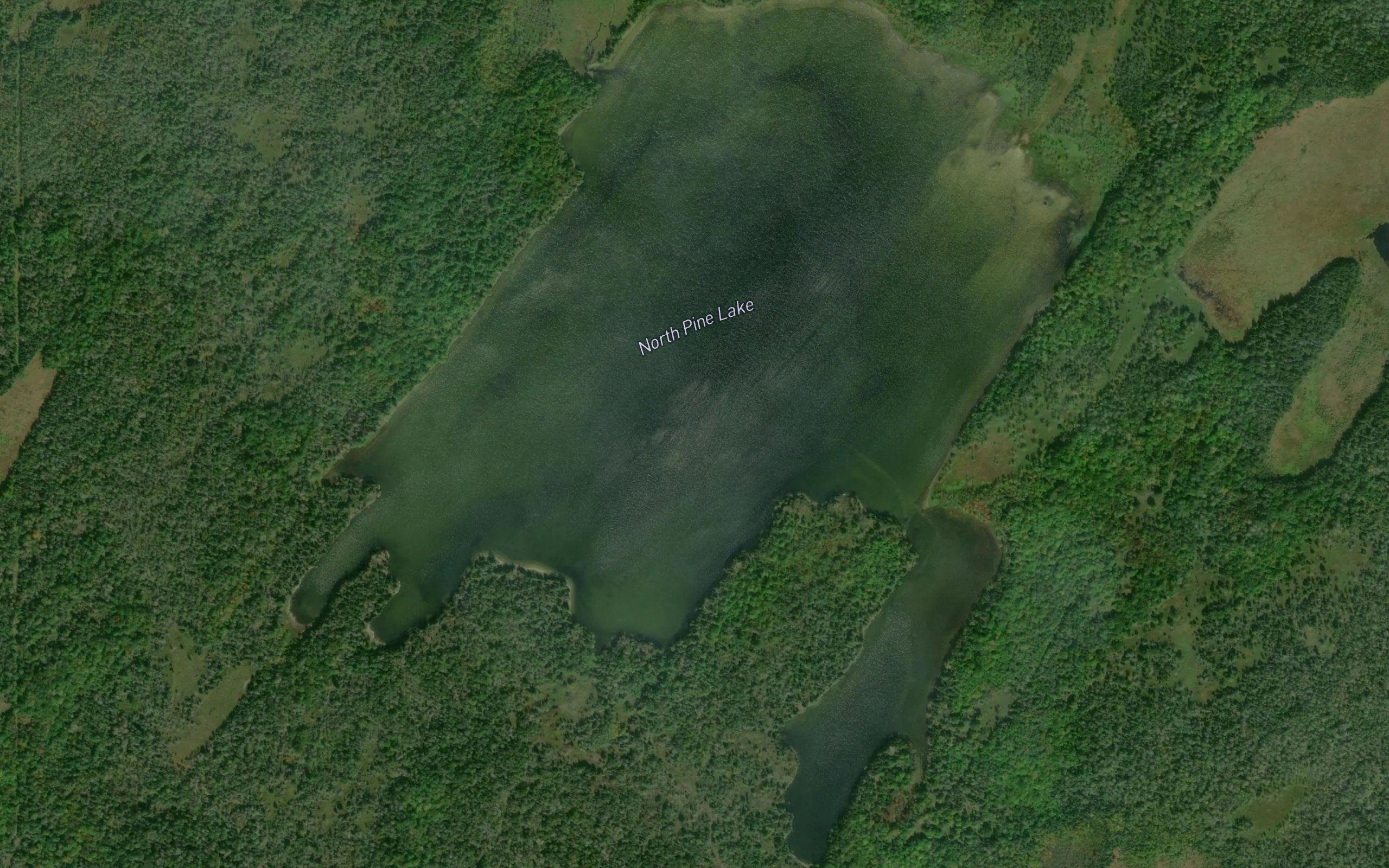 North Pine Lake