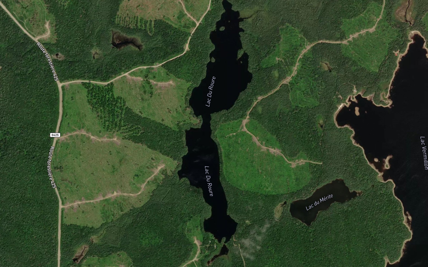 Satellite map of the Lac Du Roure