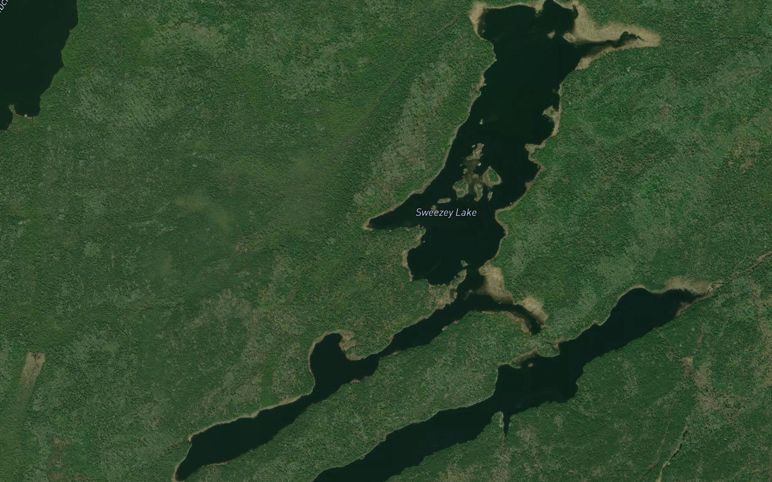 Sweezey Lake