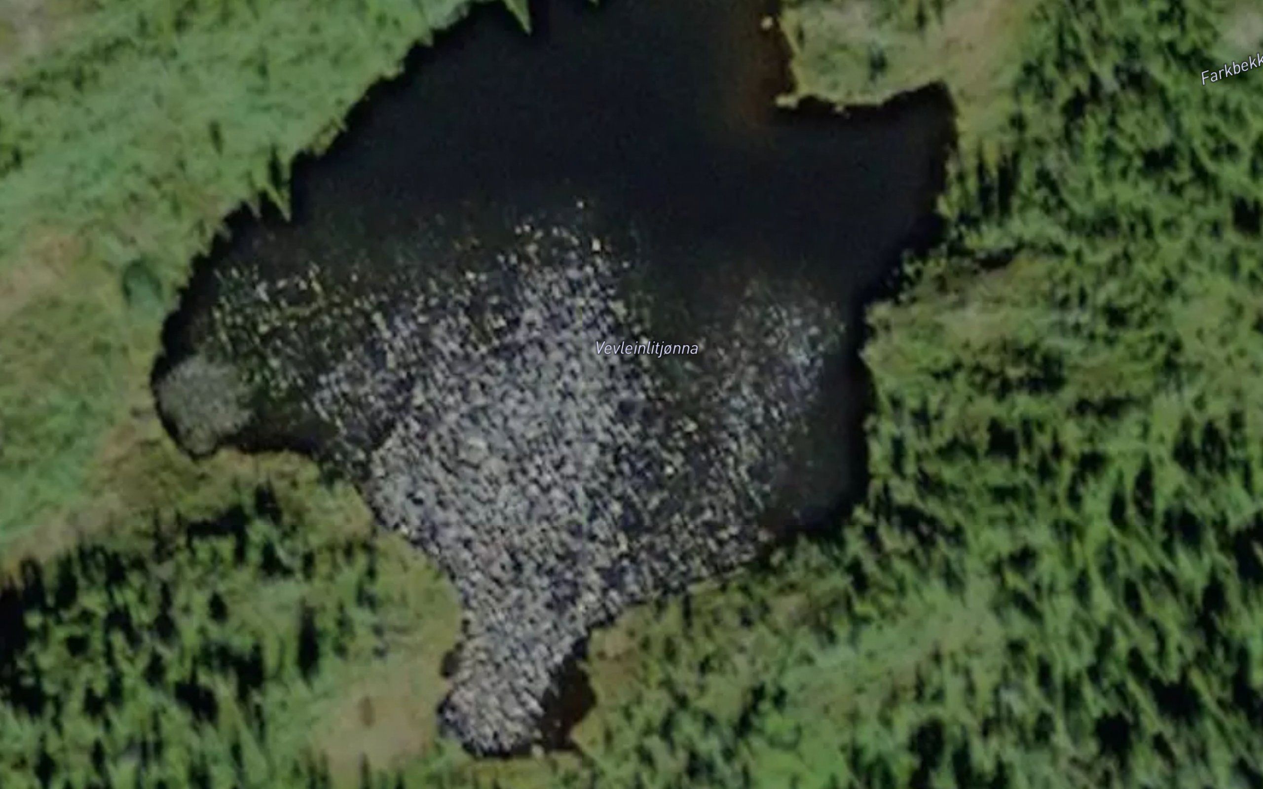 Vevleinlitjonna