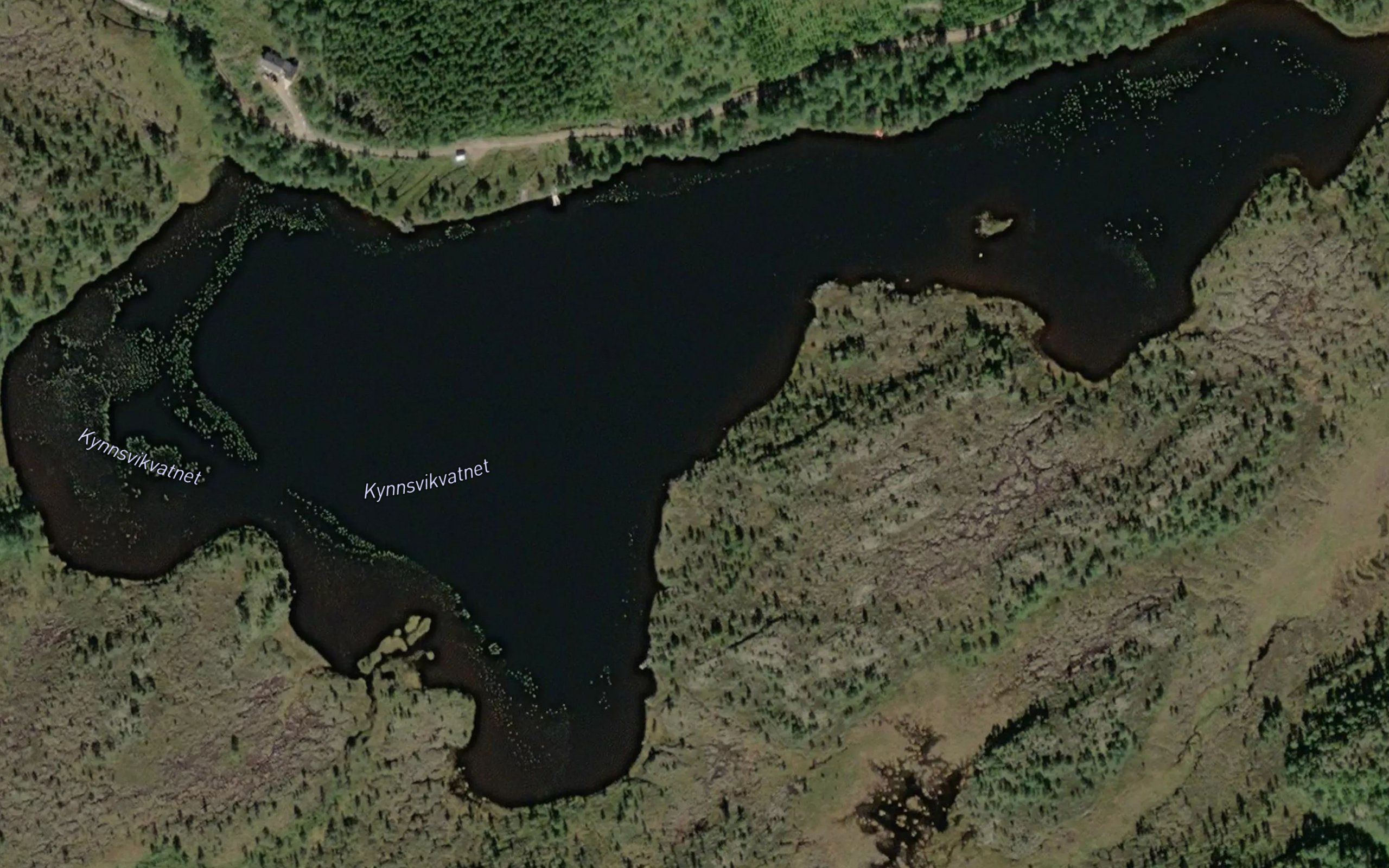 Kjonsvikvatnet