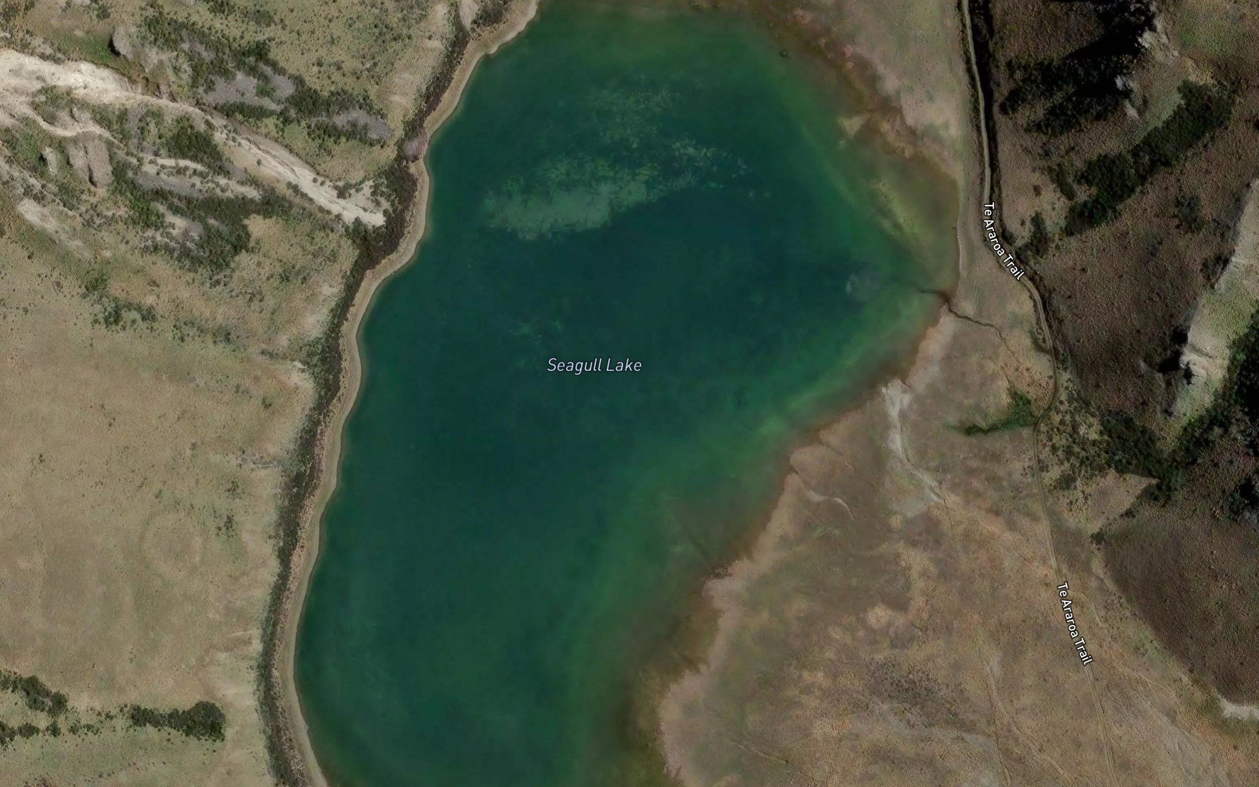 Seagull Lake