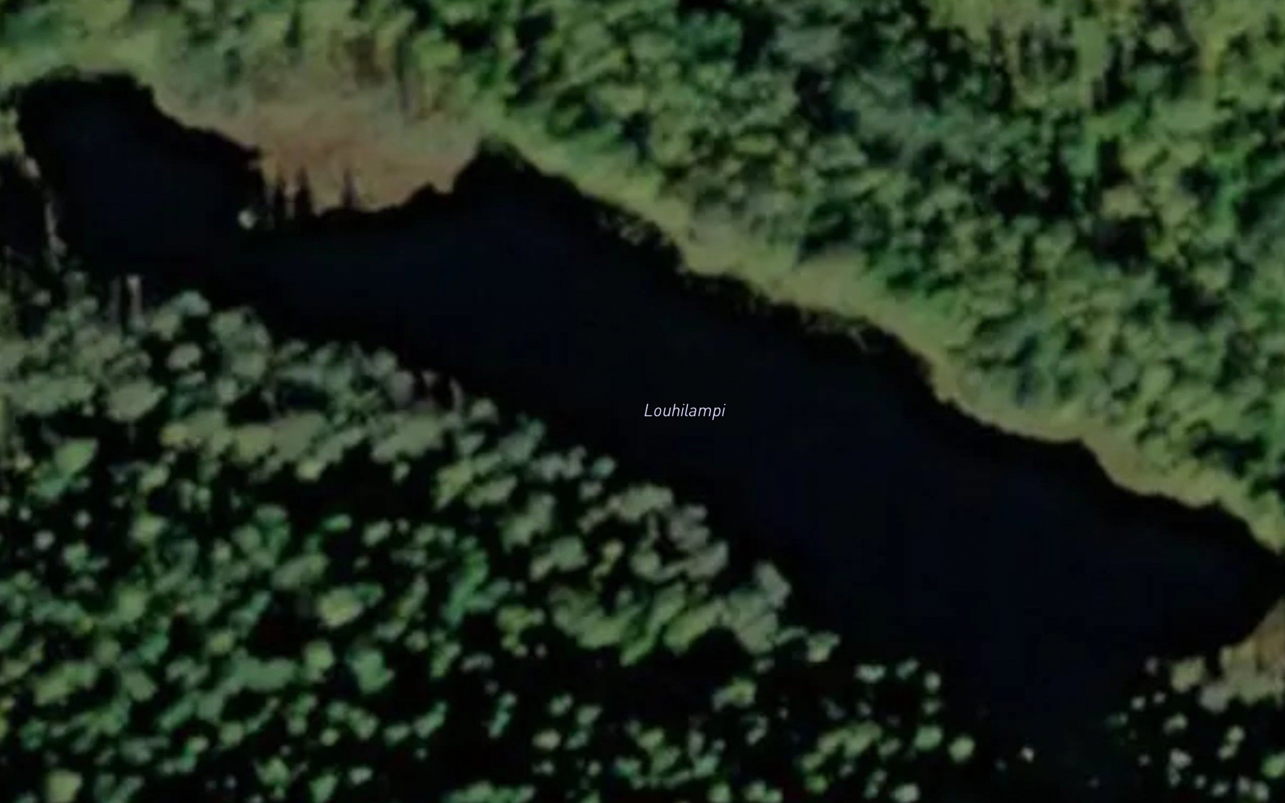 Louhilampi