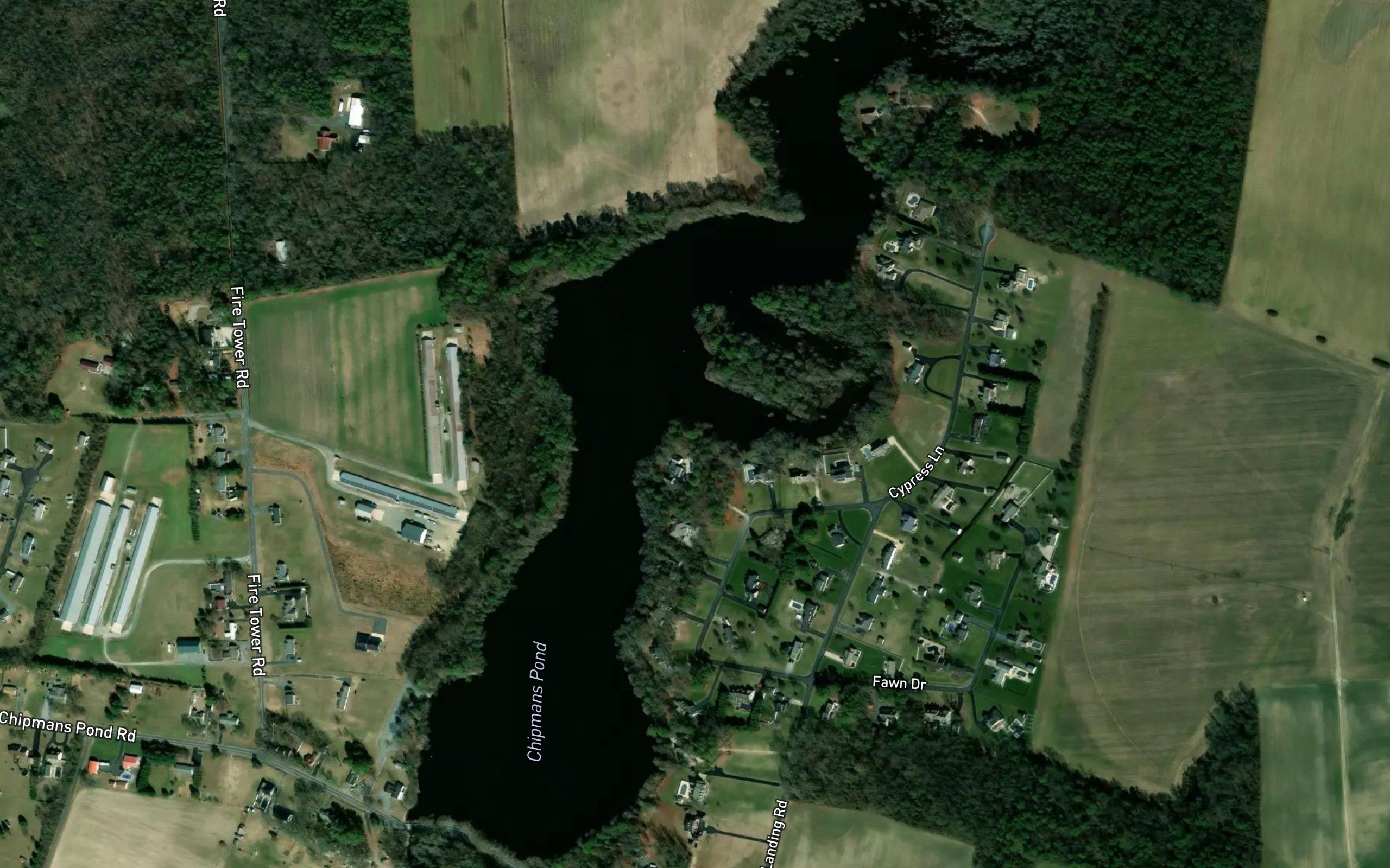 Chipman Pond
