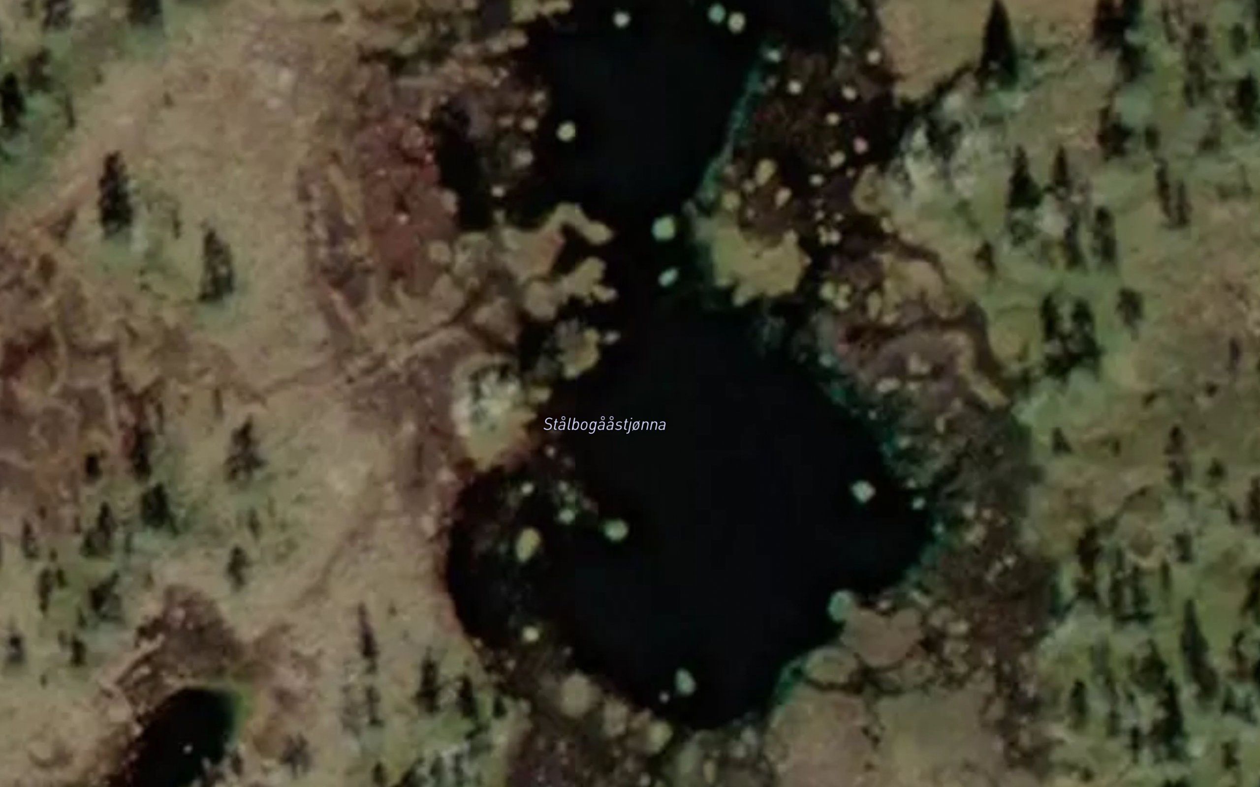 Stalbogaastjorna