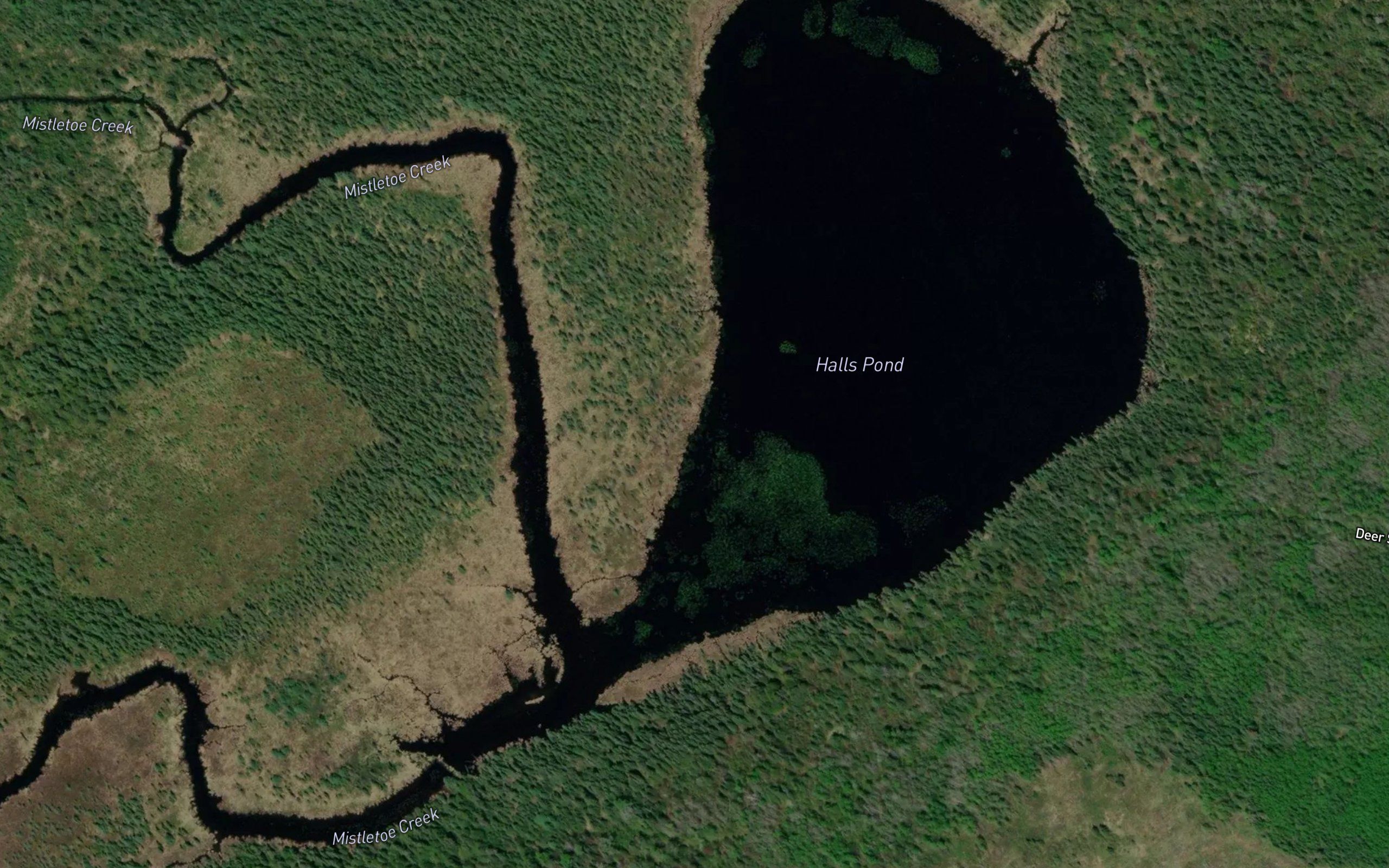 Halls Pond