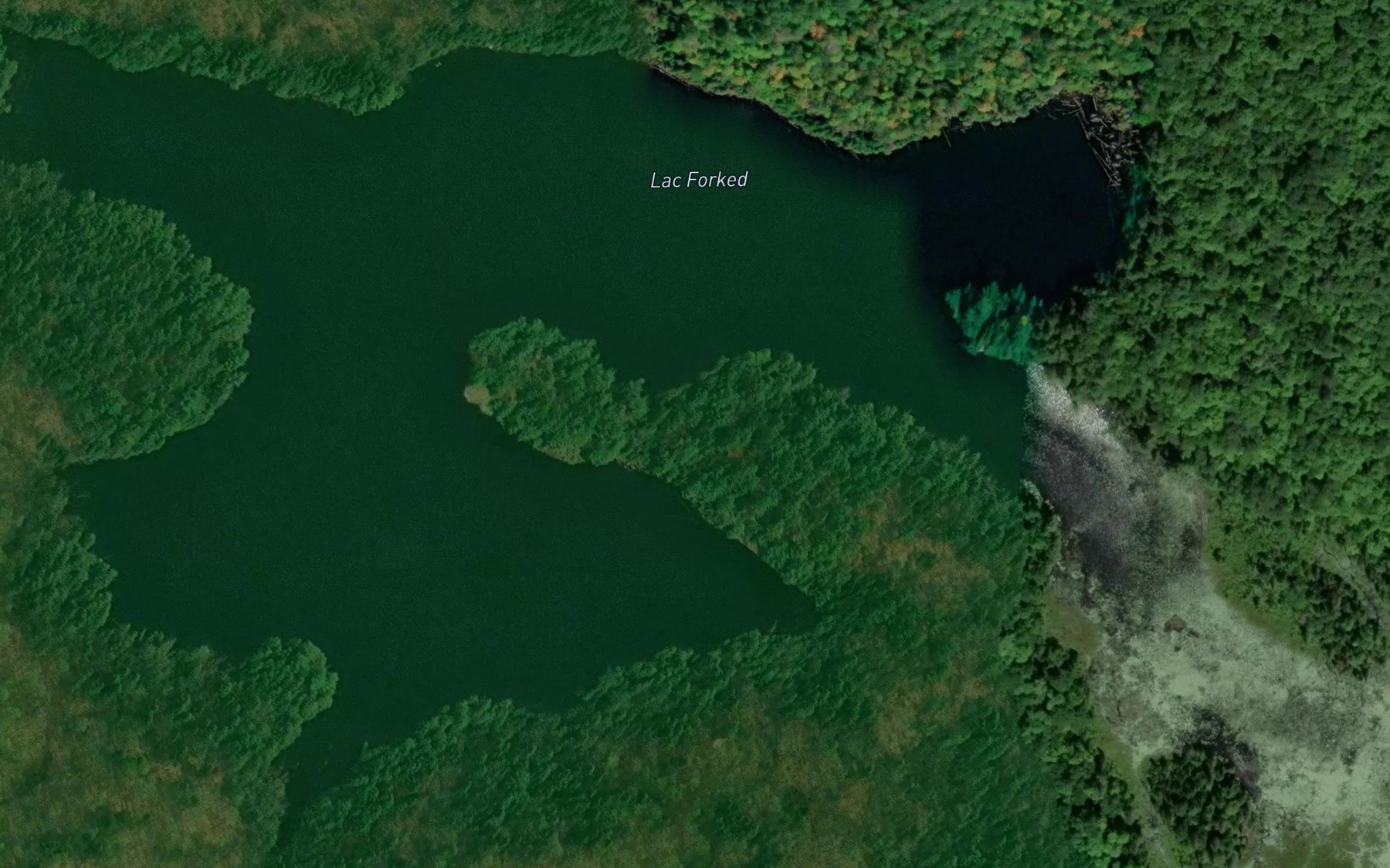 Satellite map of the Lac Forked