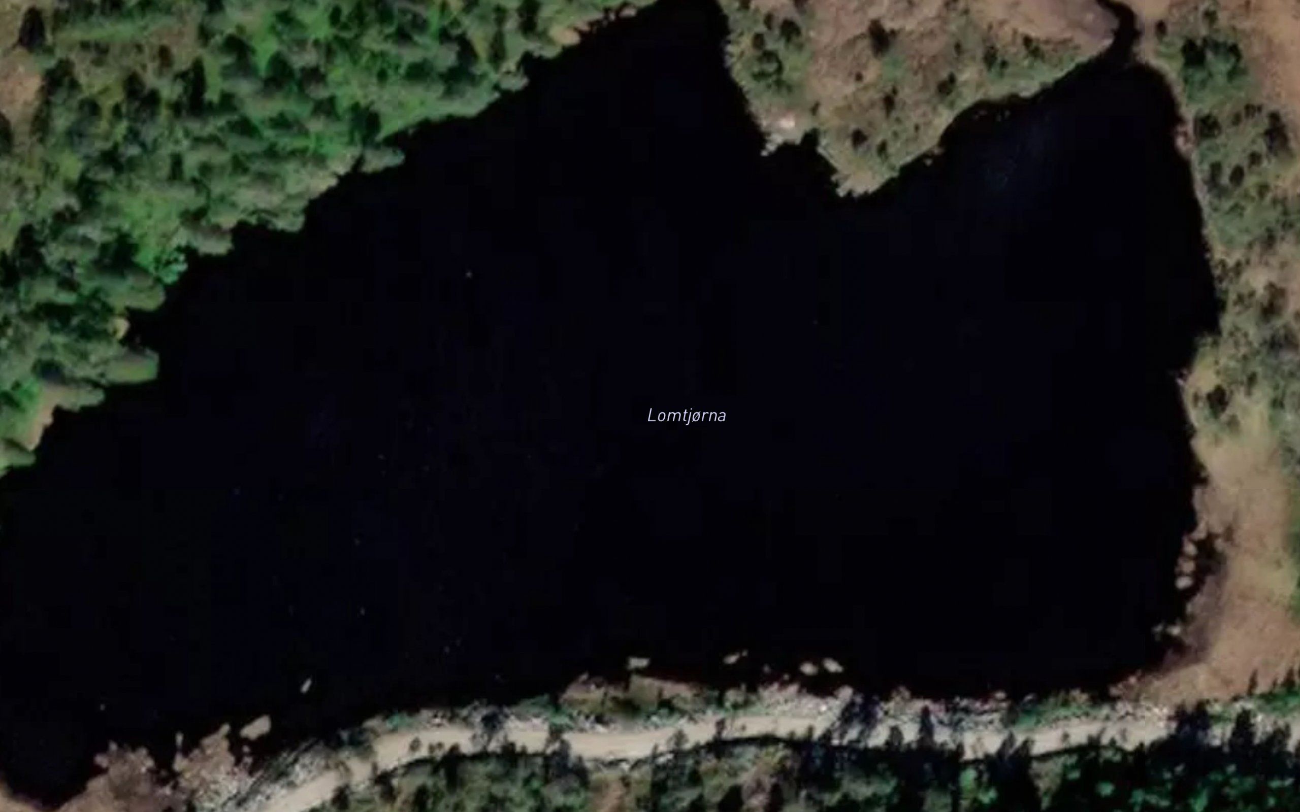 Lomtjorna
