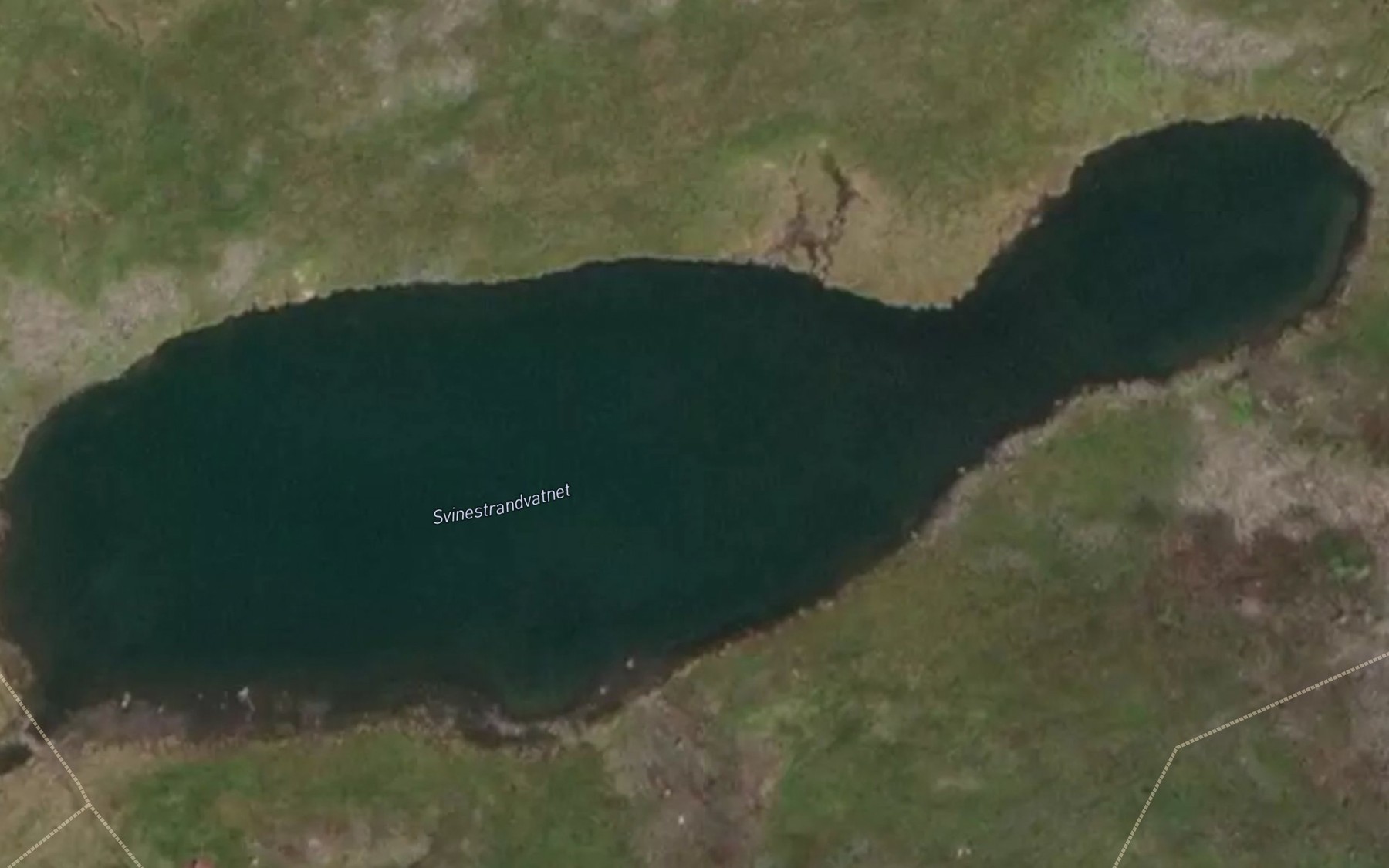 Satellite map of the Svinestrandvatnet