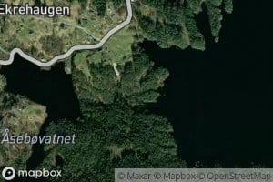 Sagelvi