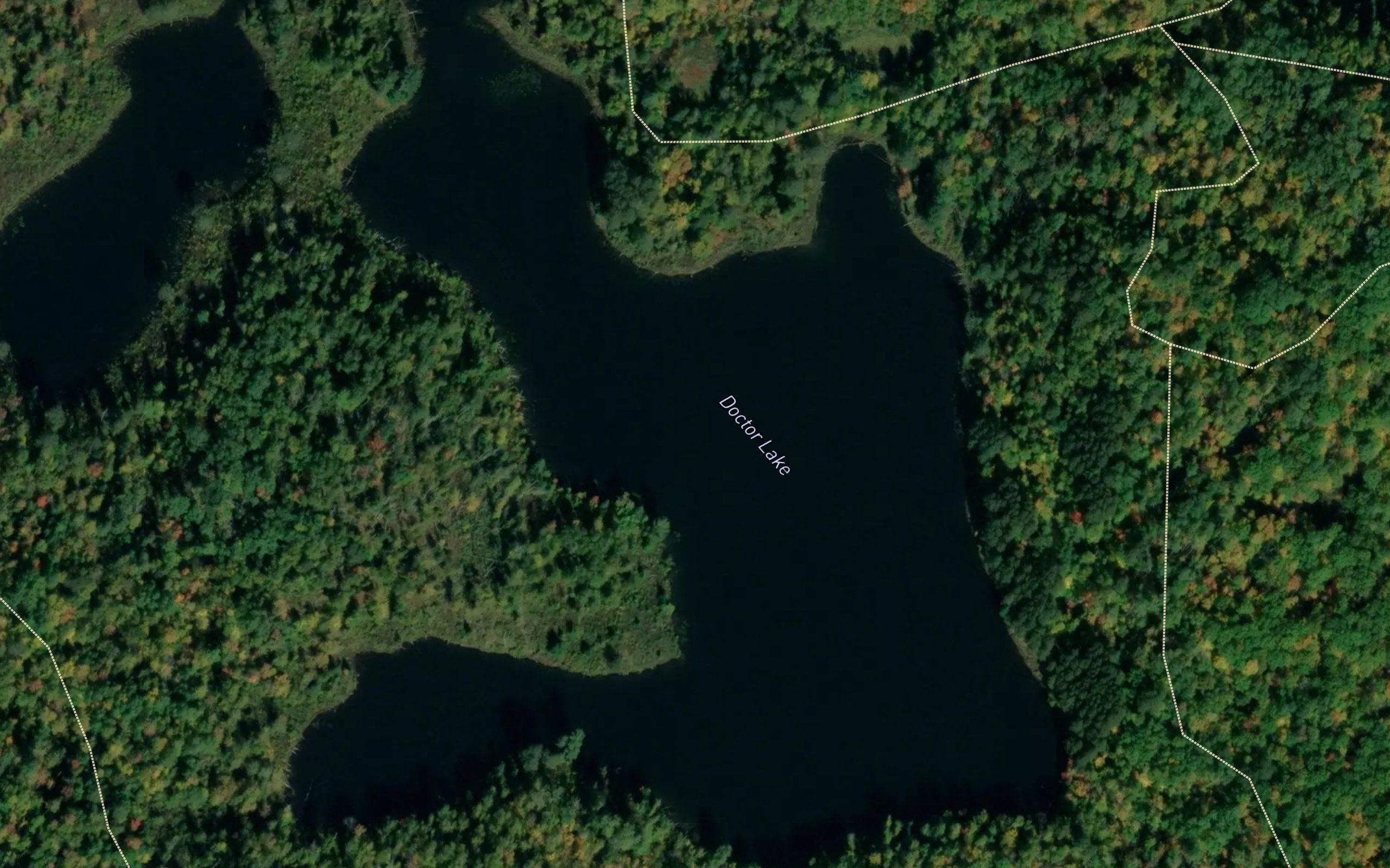Doctor Lake