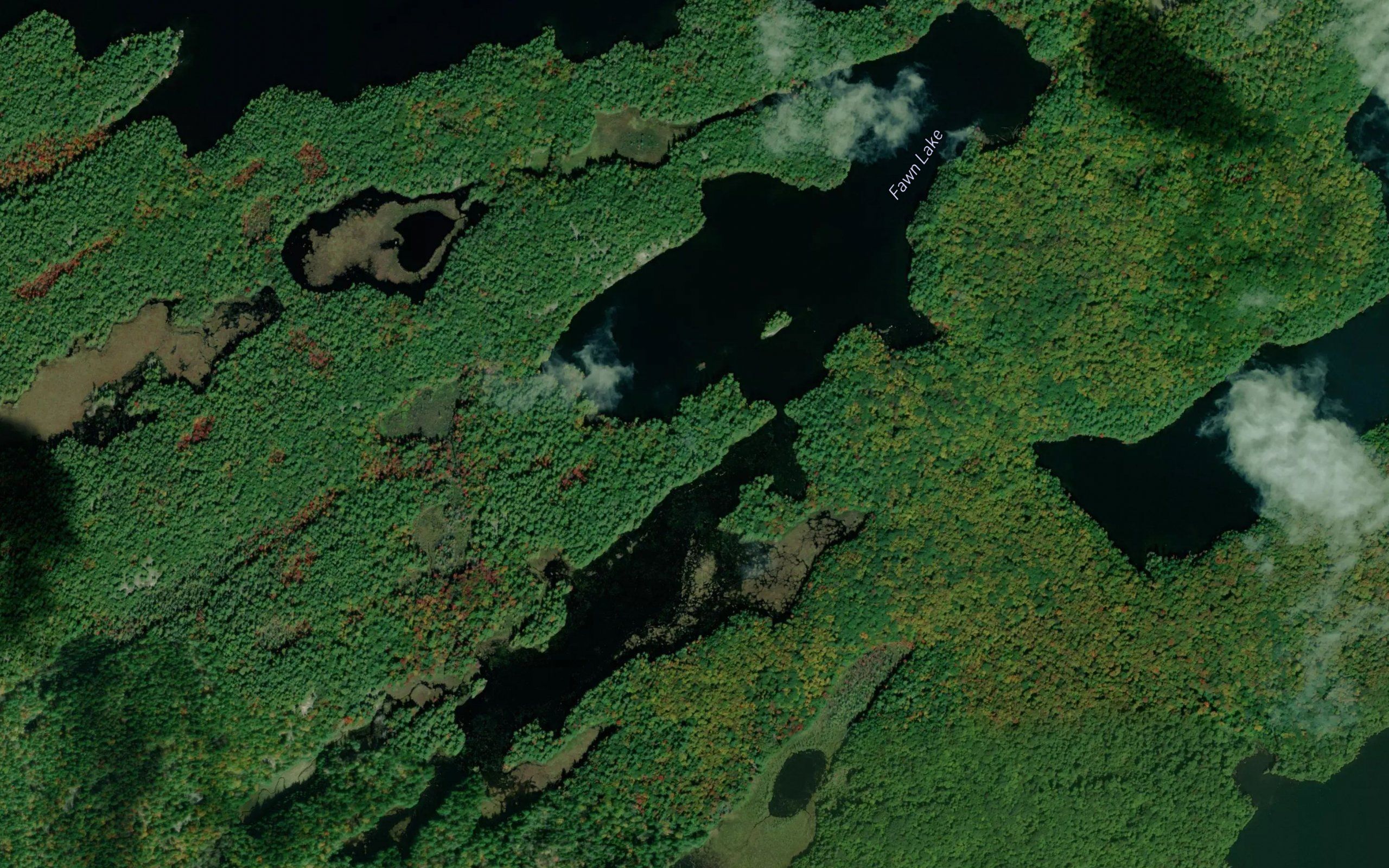 Fawn Lake