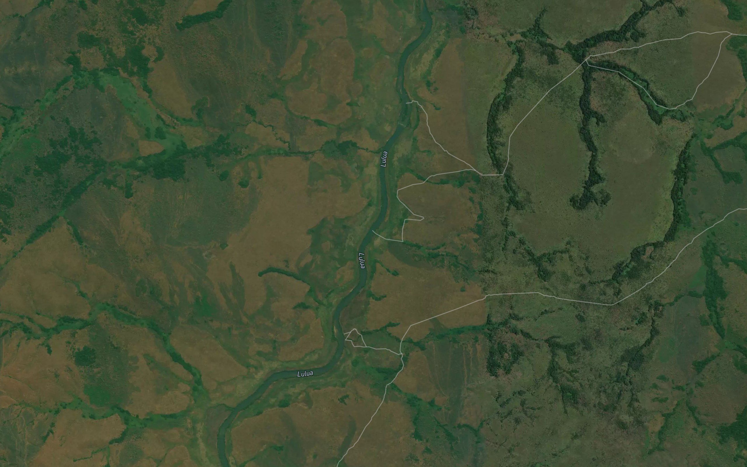 Kadua
