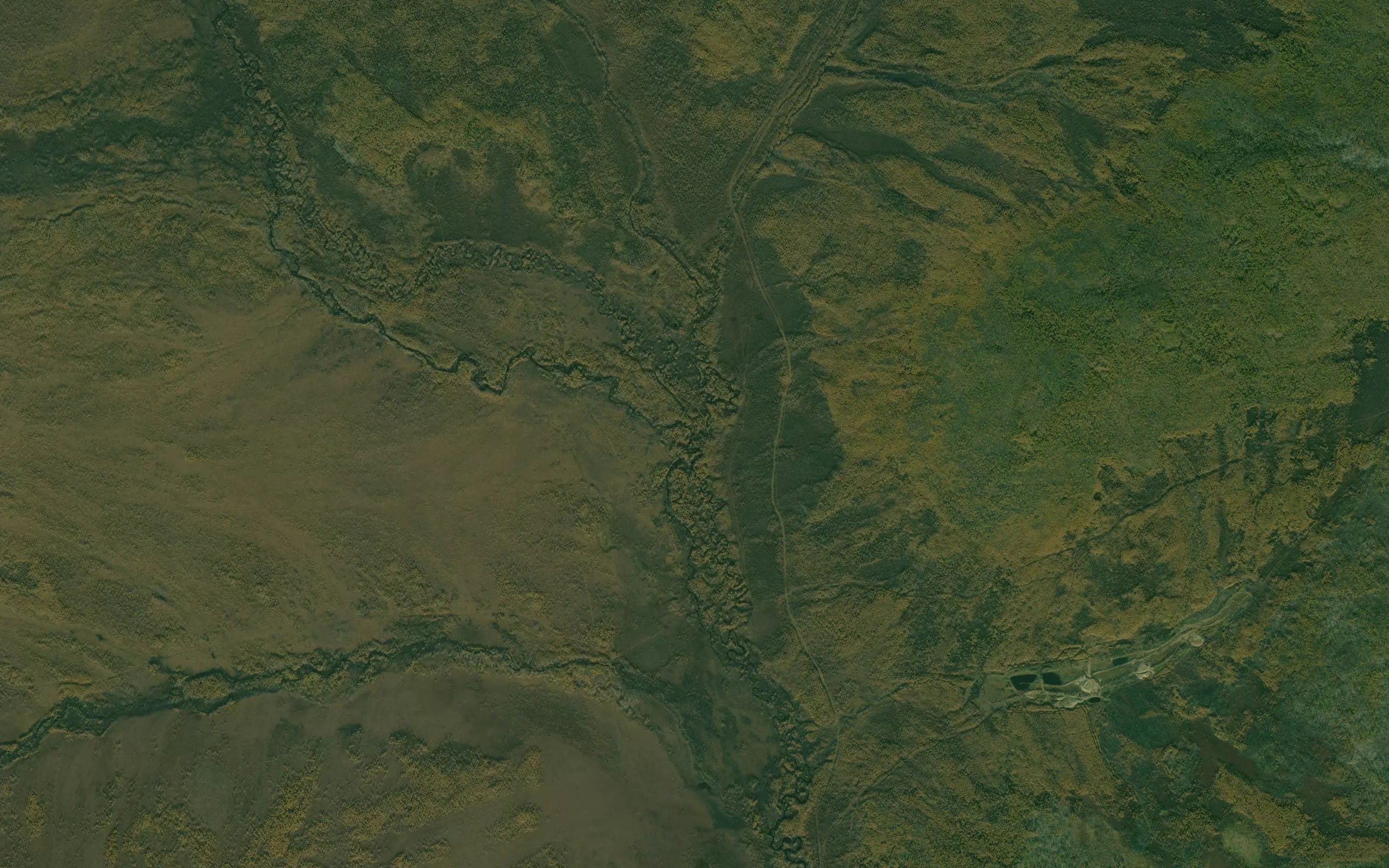 Moskul'chikov