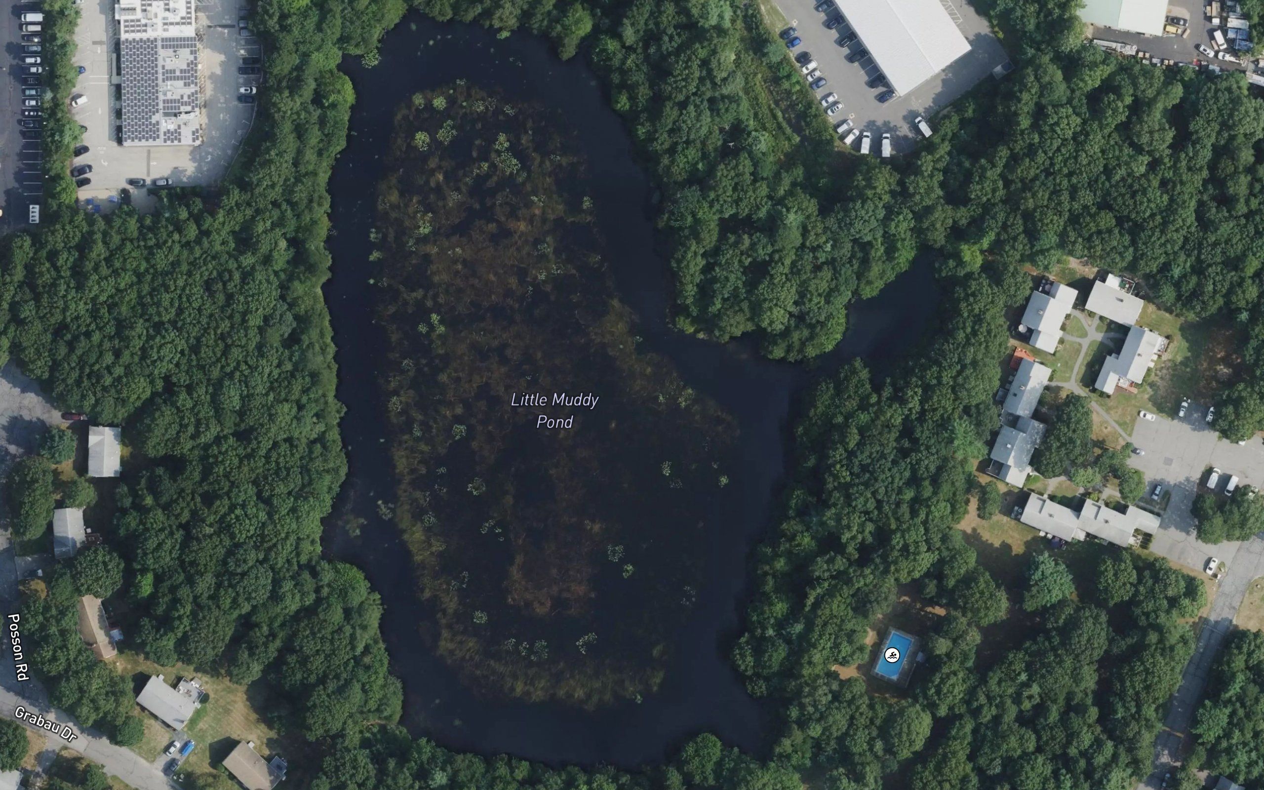 Little Muddy Pond
