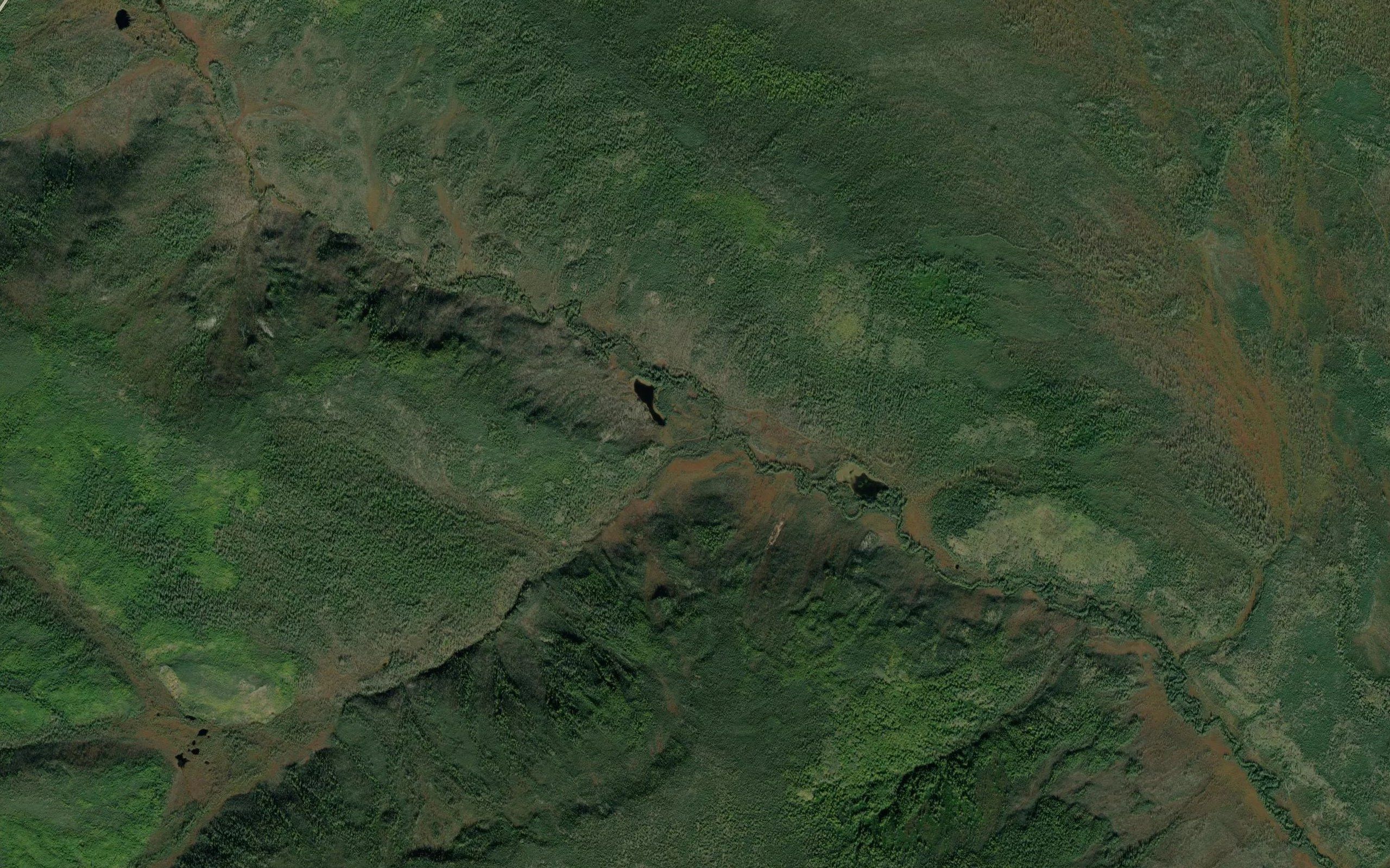 Bradley Creek