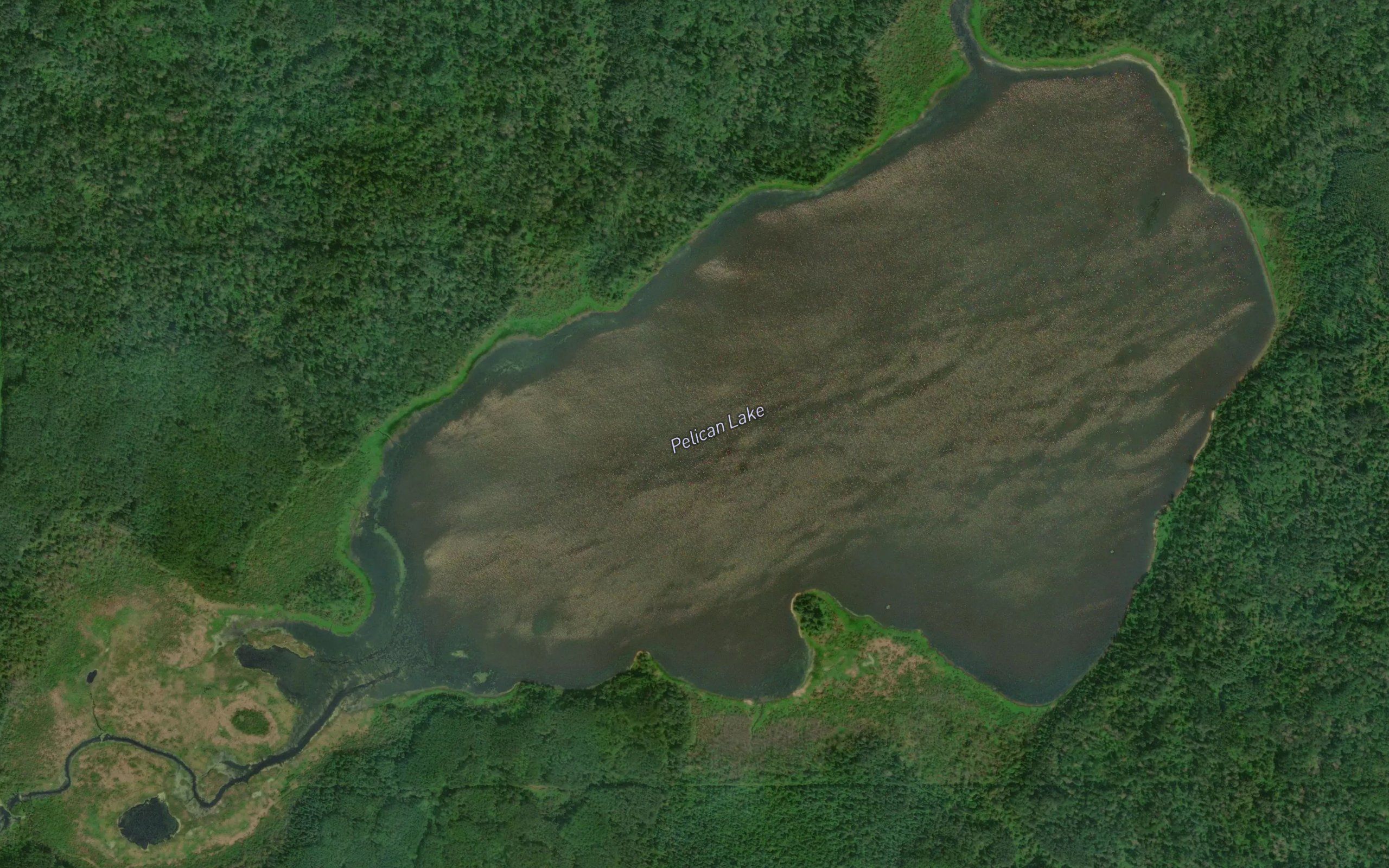 Pelican Lake