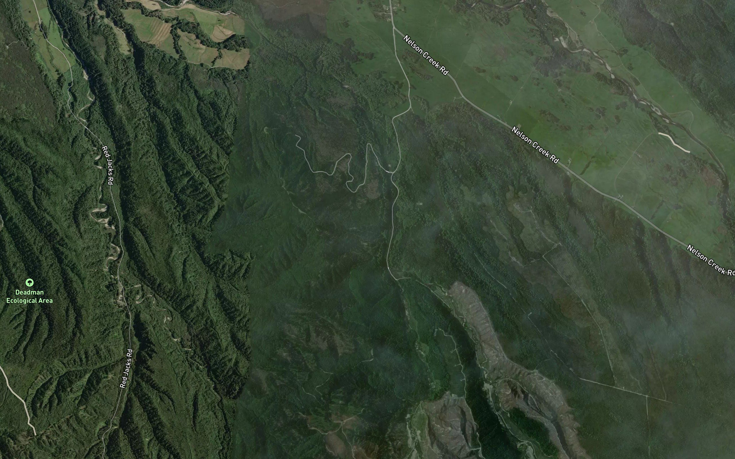 Wallaby Creek
