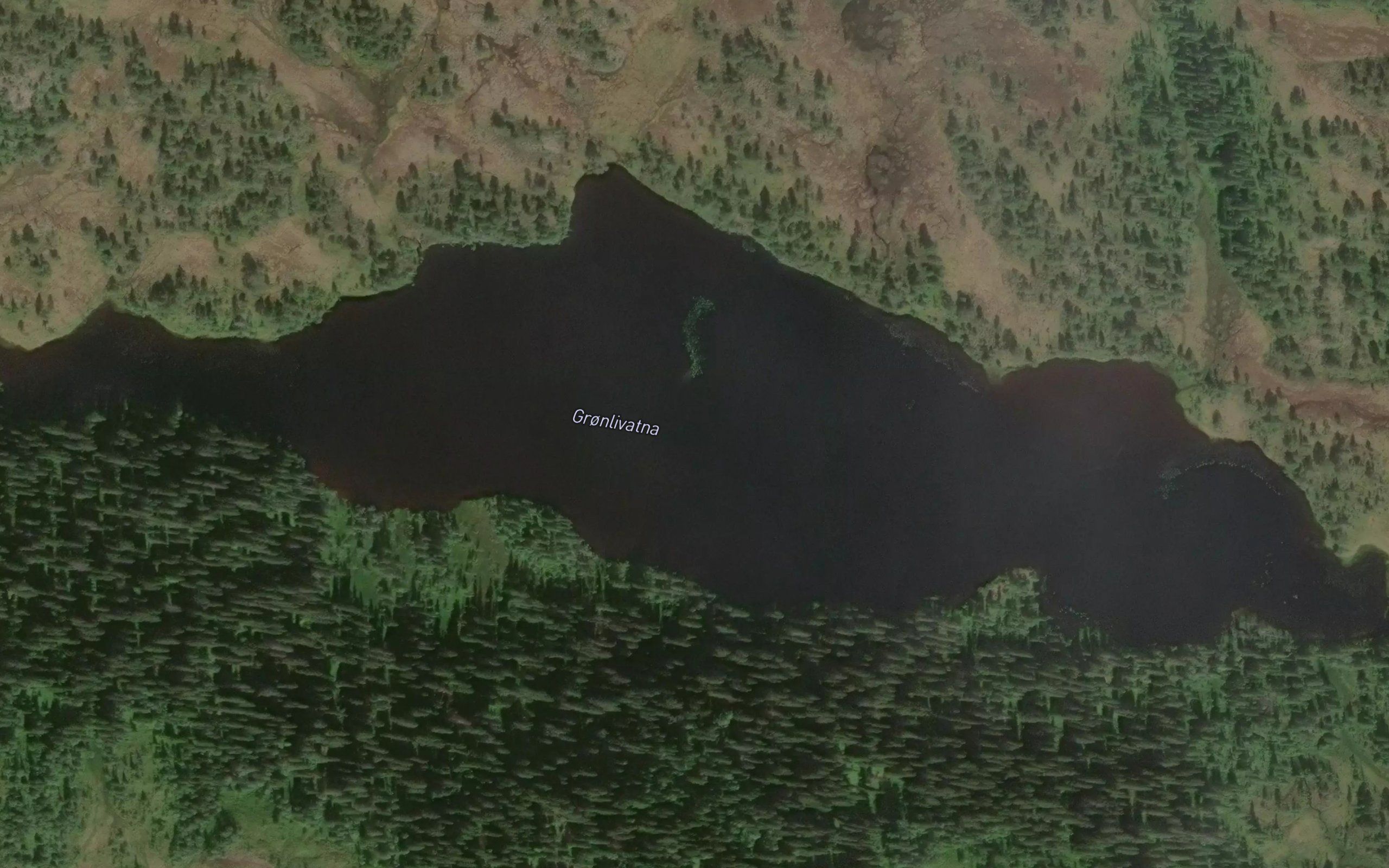 Ostre Gronlivatn