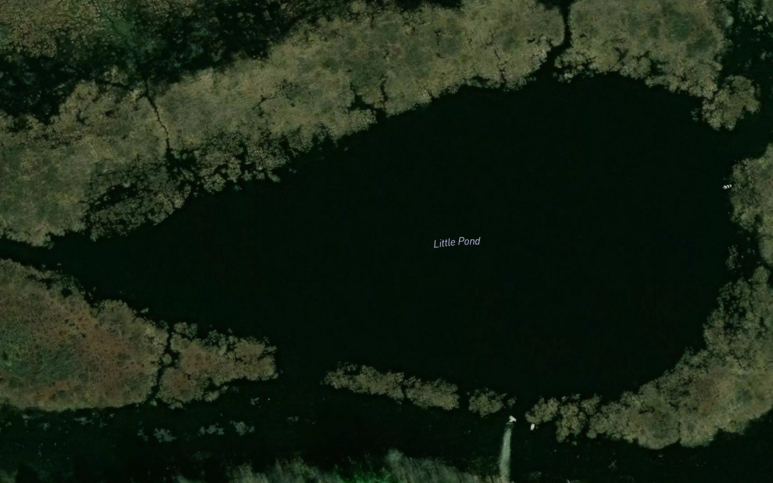 Little Pond
