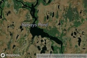Harveys Pond