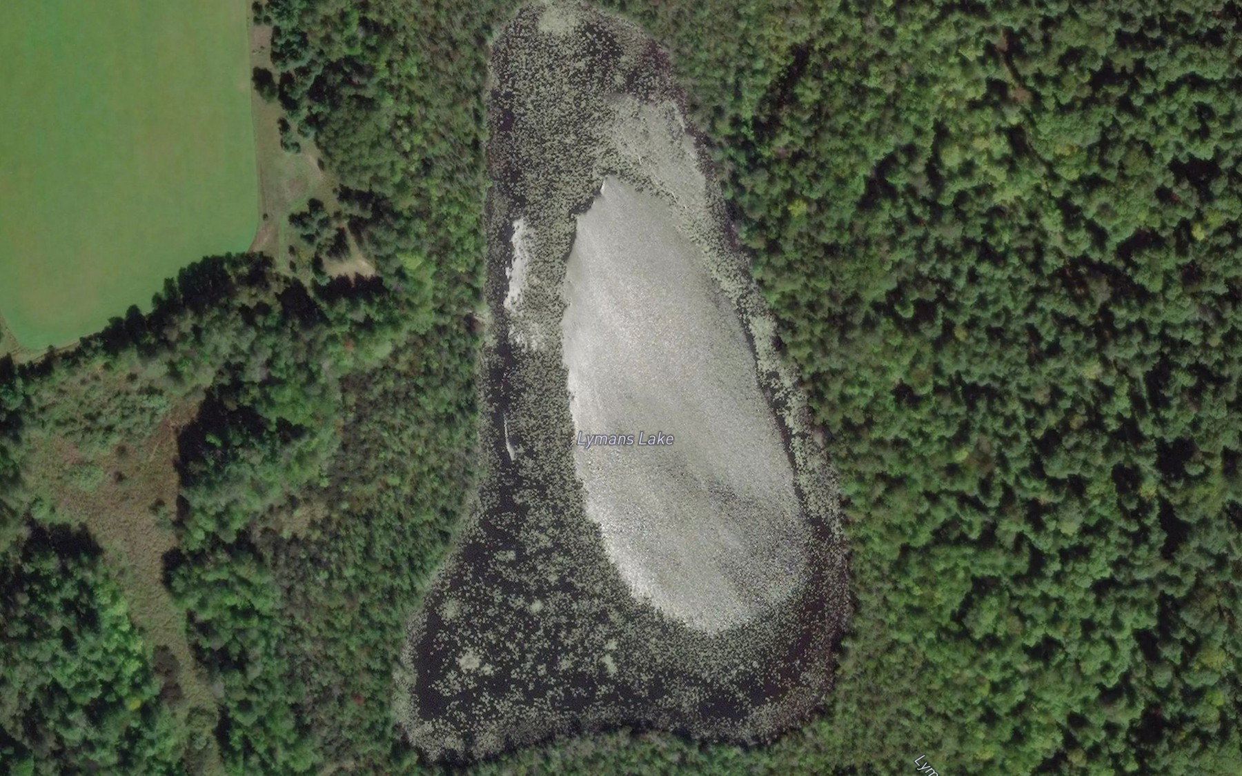 Satellite map of the Lymans Lake