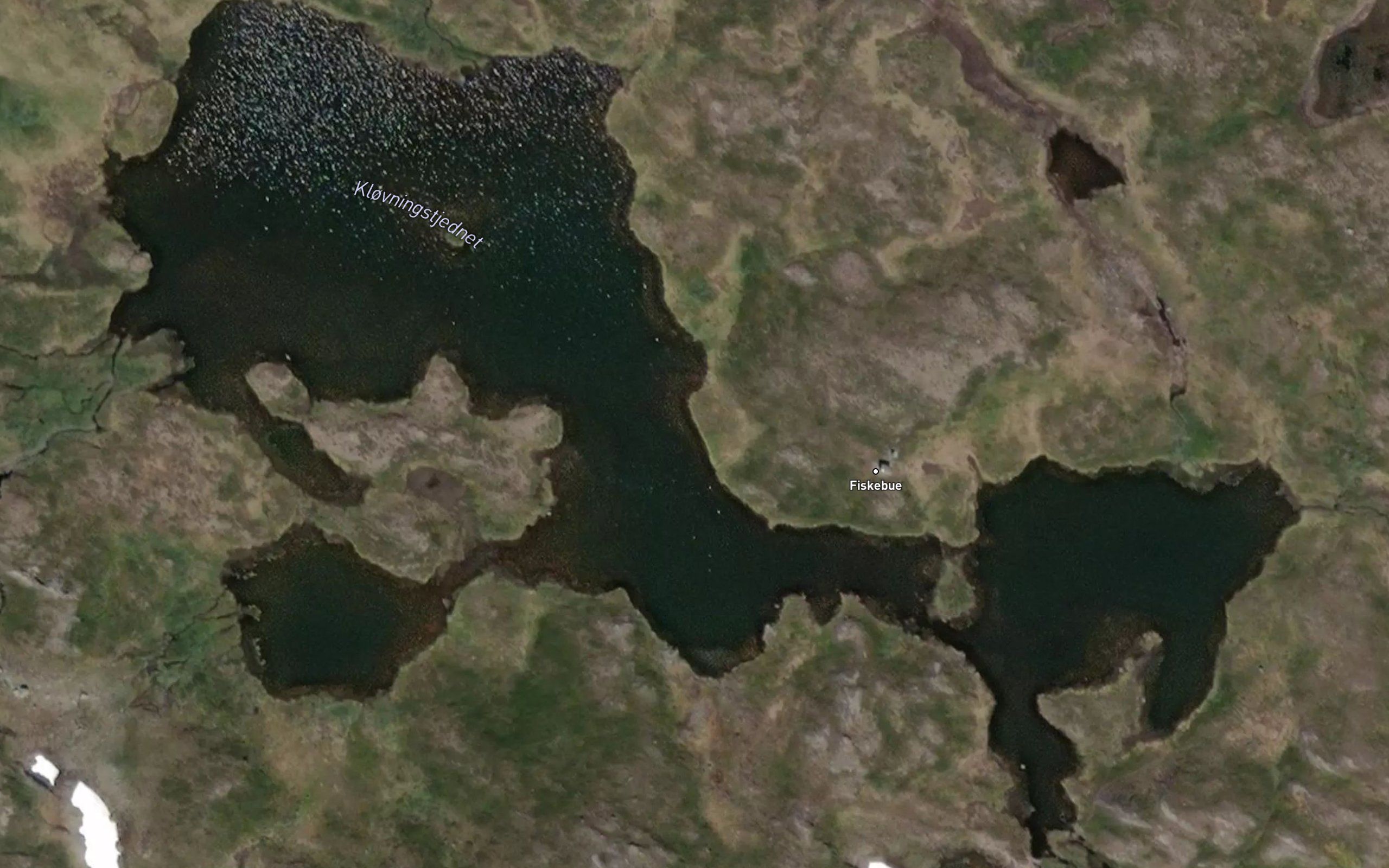 Klovningstjernet