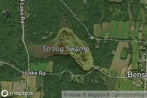Strong Swamp