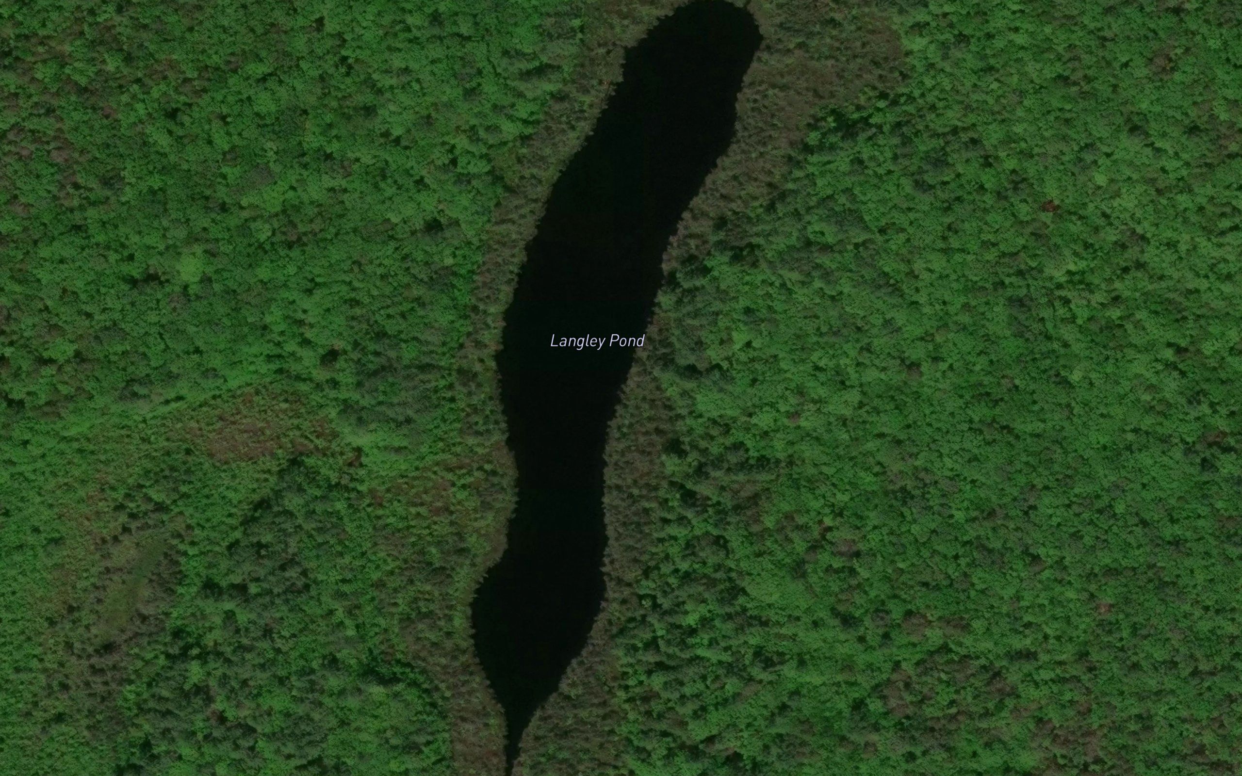 Langley Pond