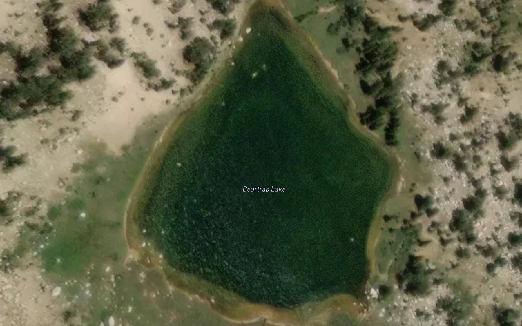 Satellite map of the Beartrap Lake