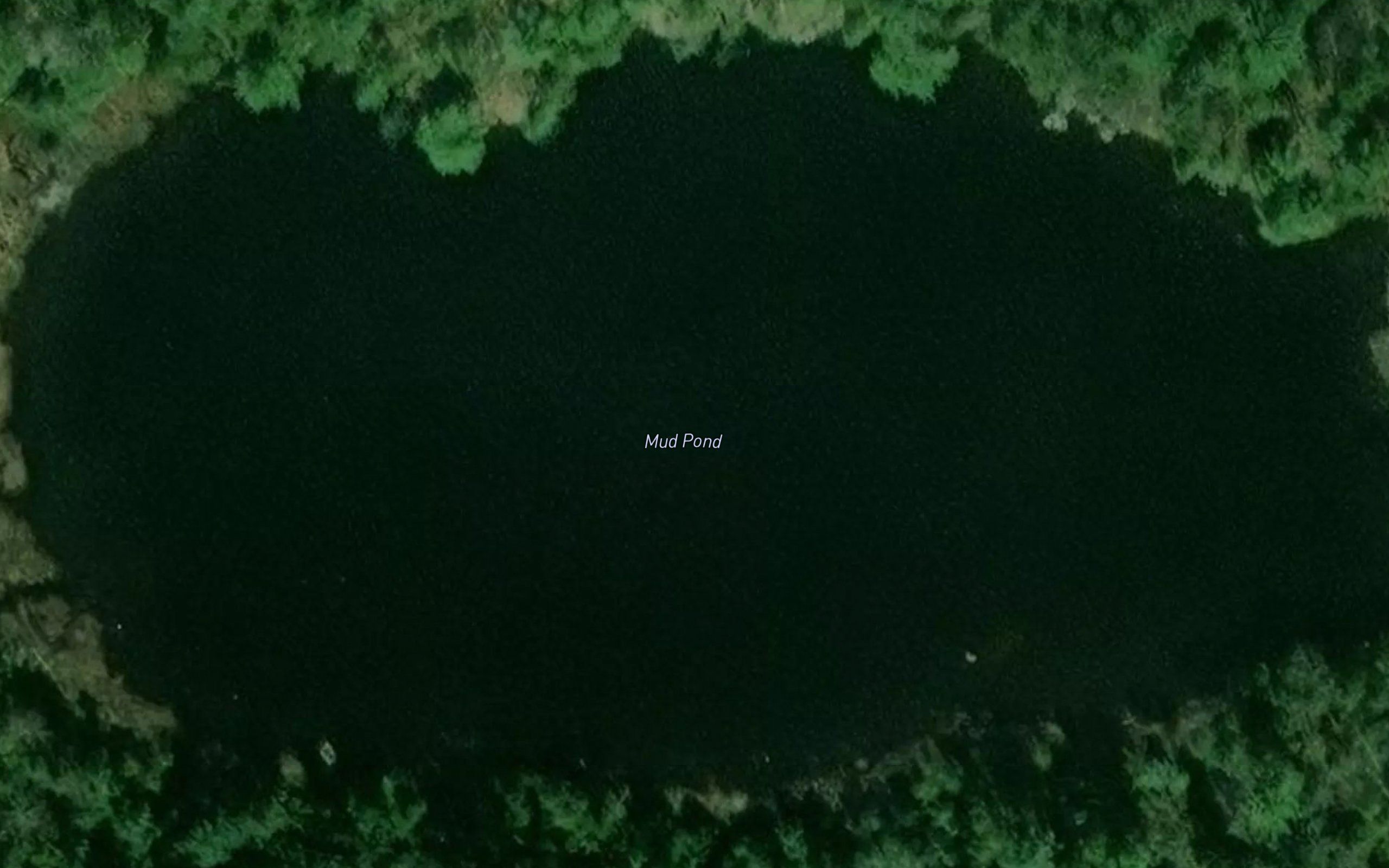 Mud Pond
