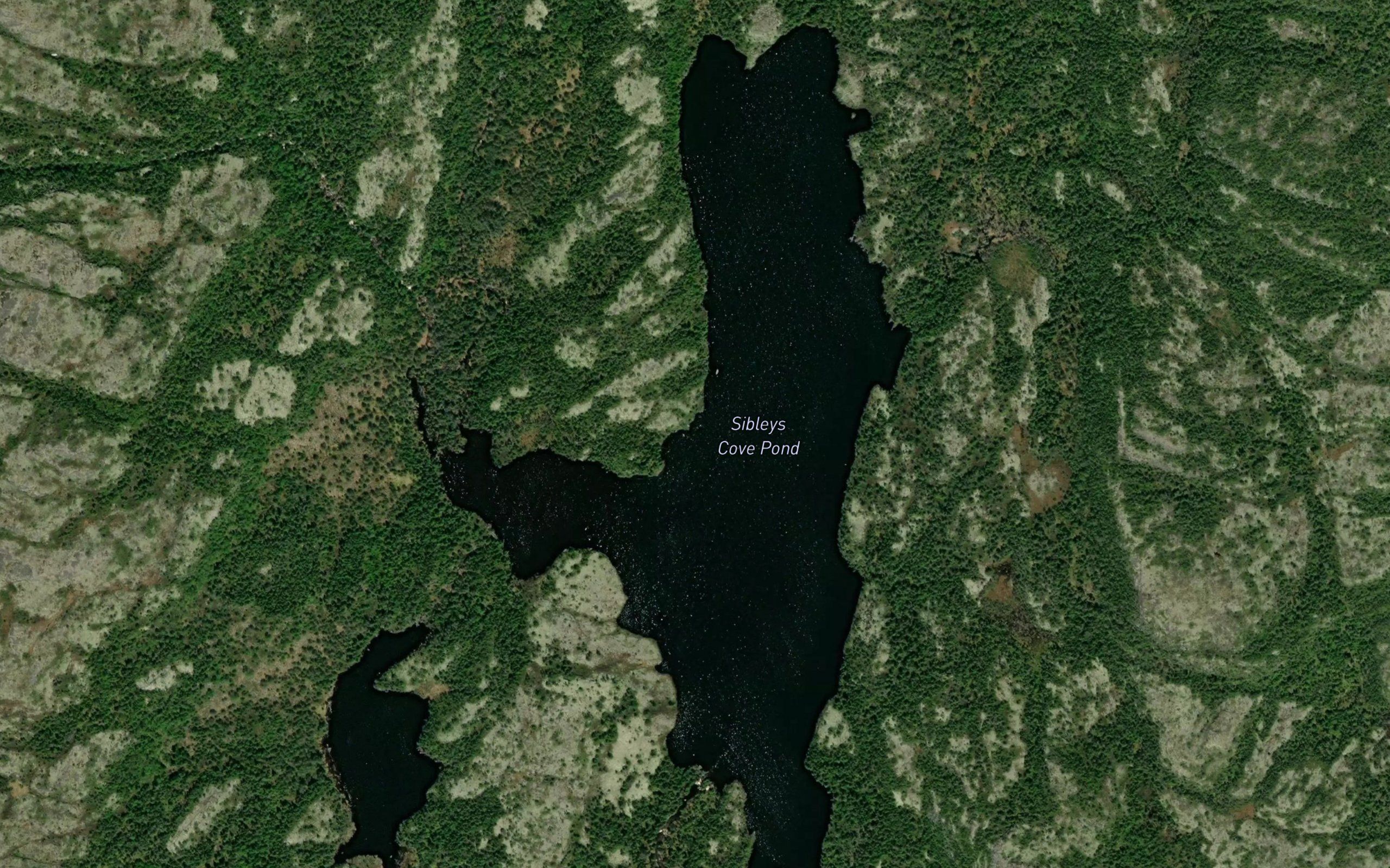Sibleys Cove Pond