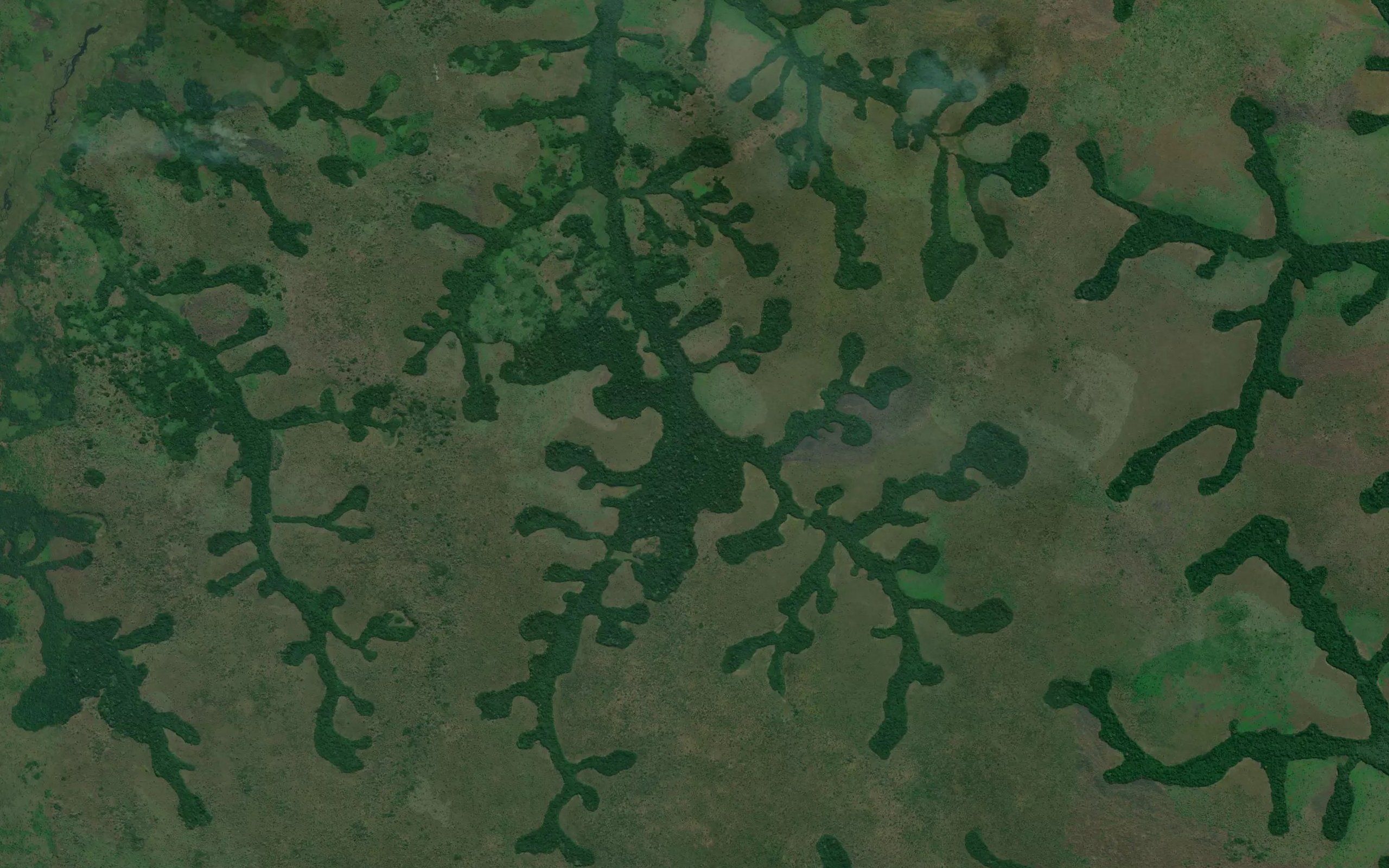 Mukudi