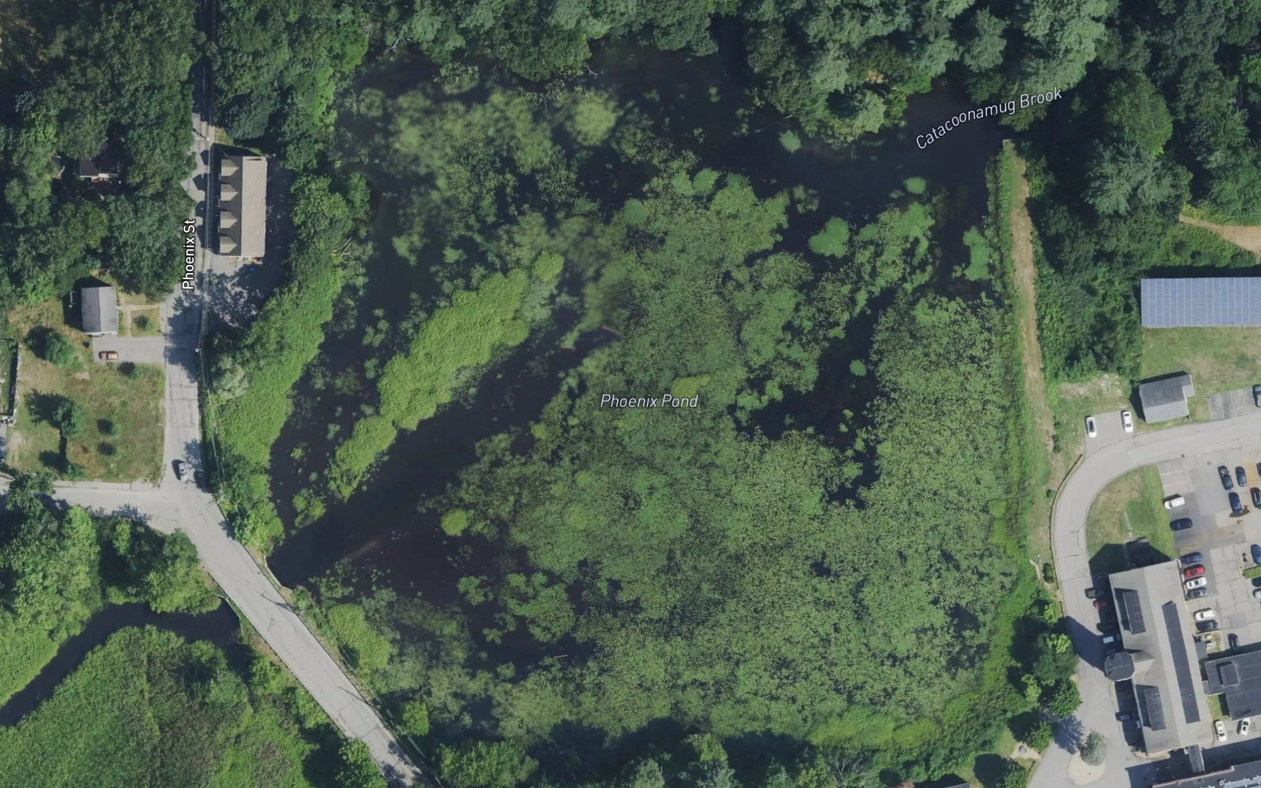 Phoenix Pond