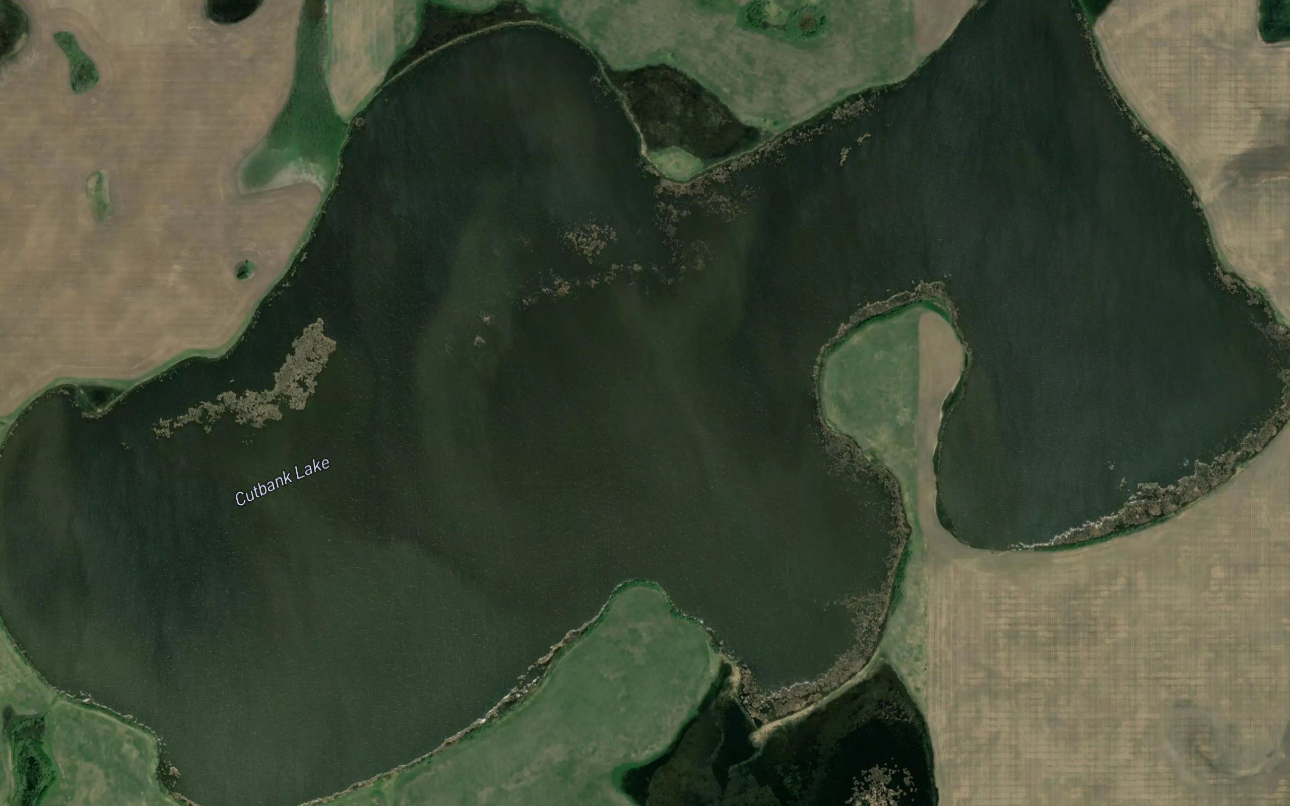 Cutbank Lake